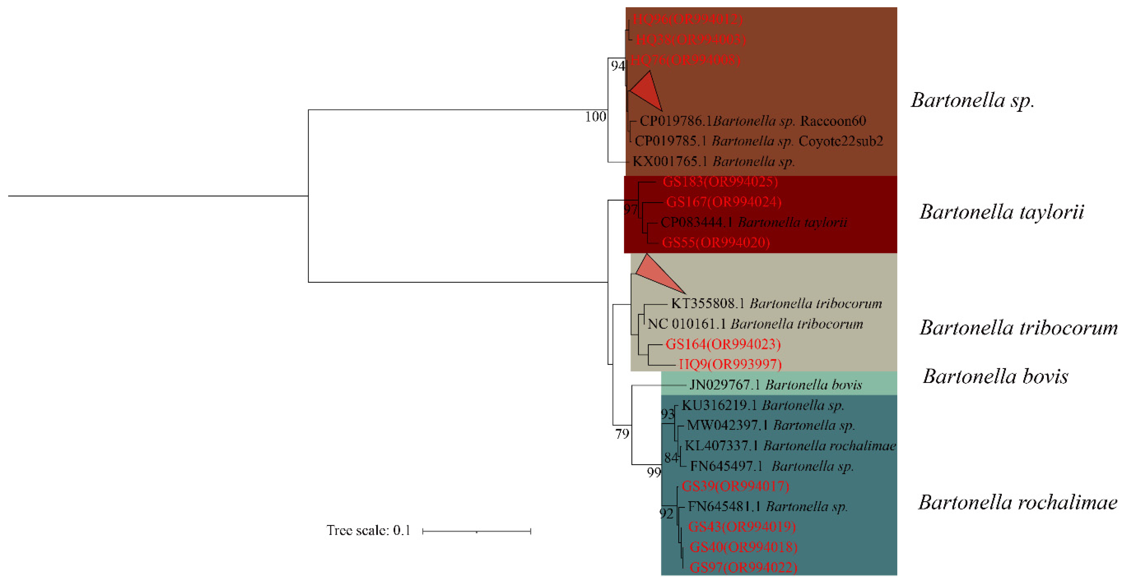 Preprints 102626 g002