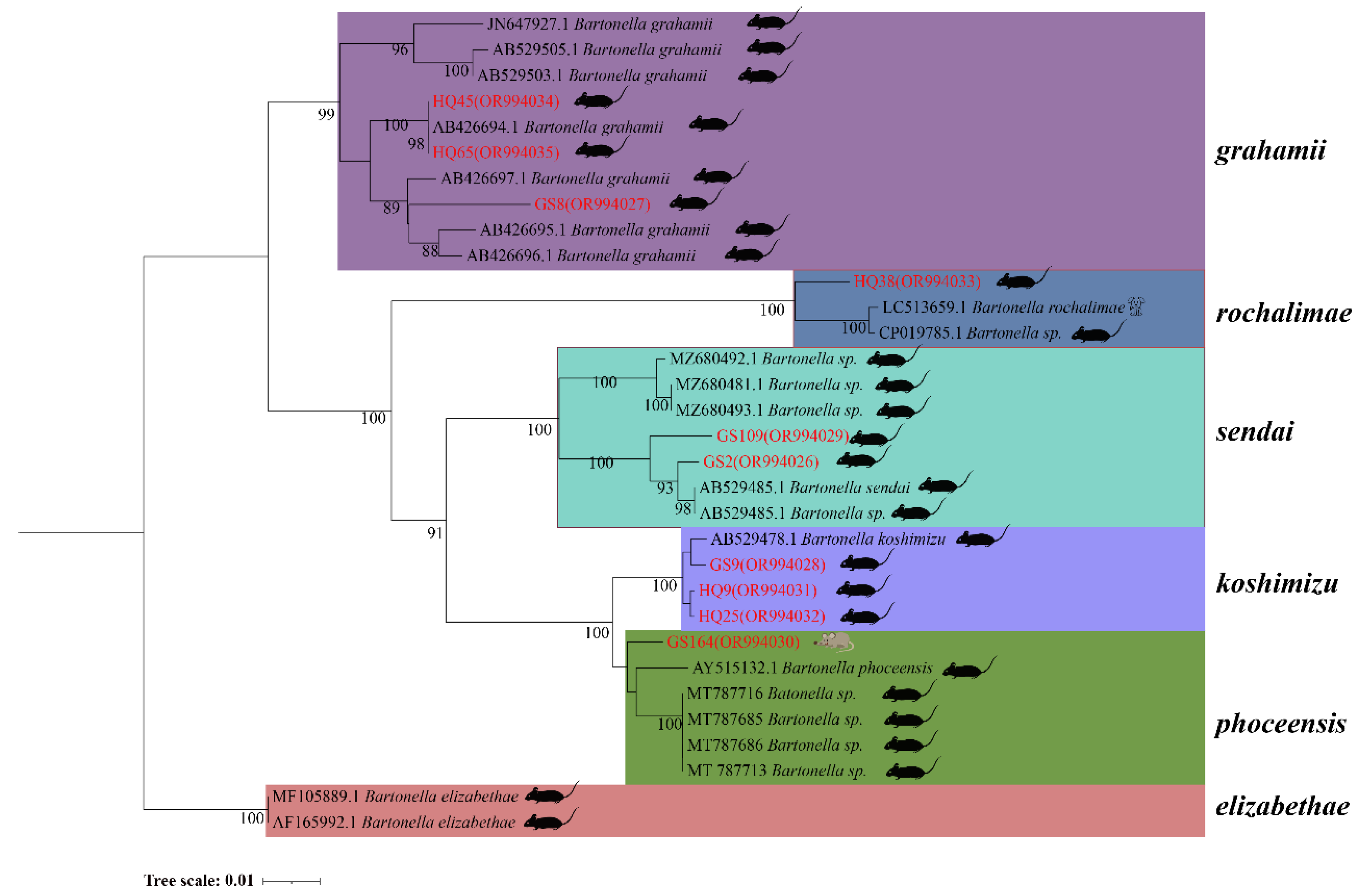 Preprints 102626 g003