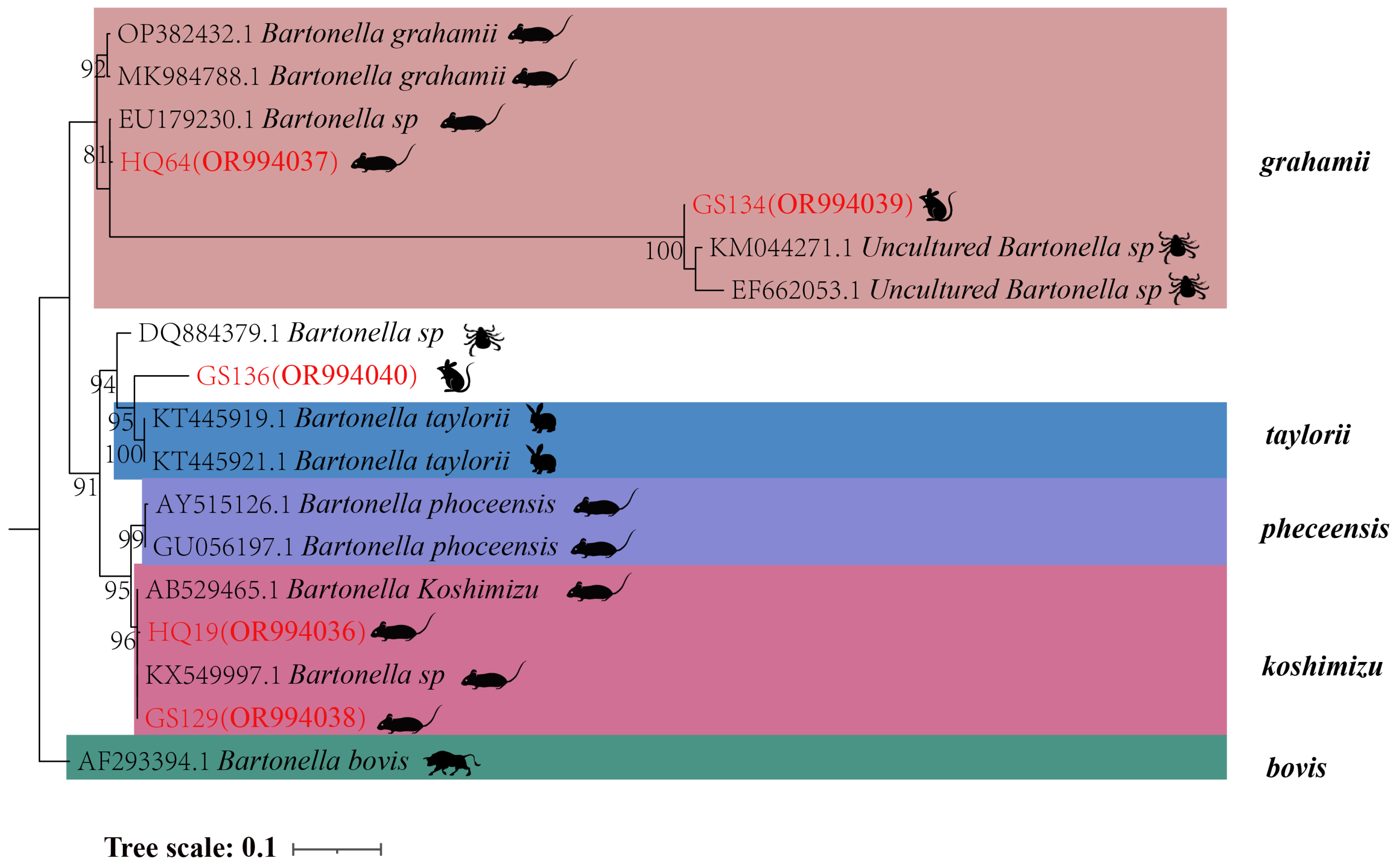 Preprints 102626 g004