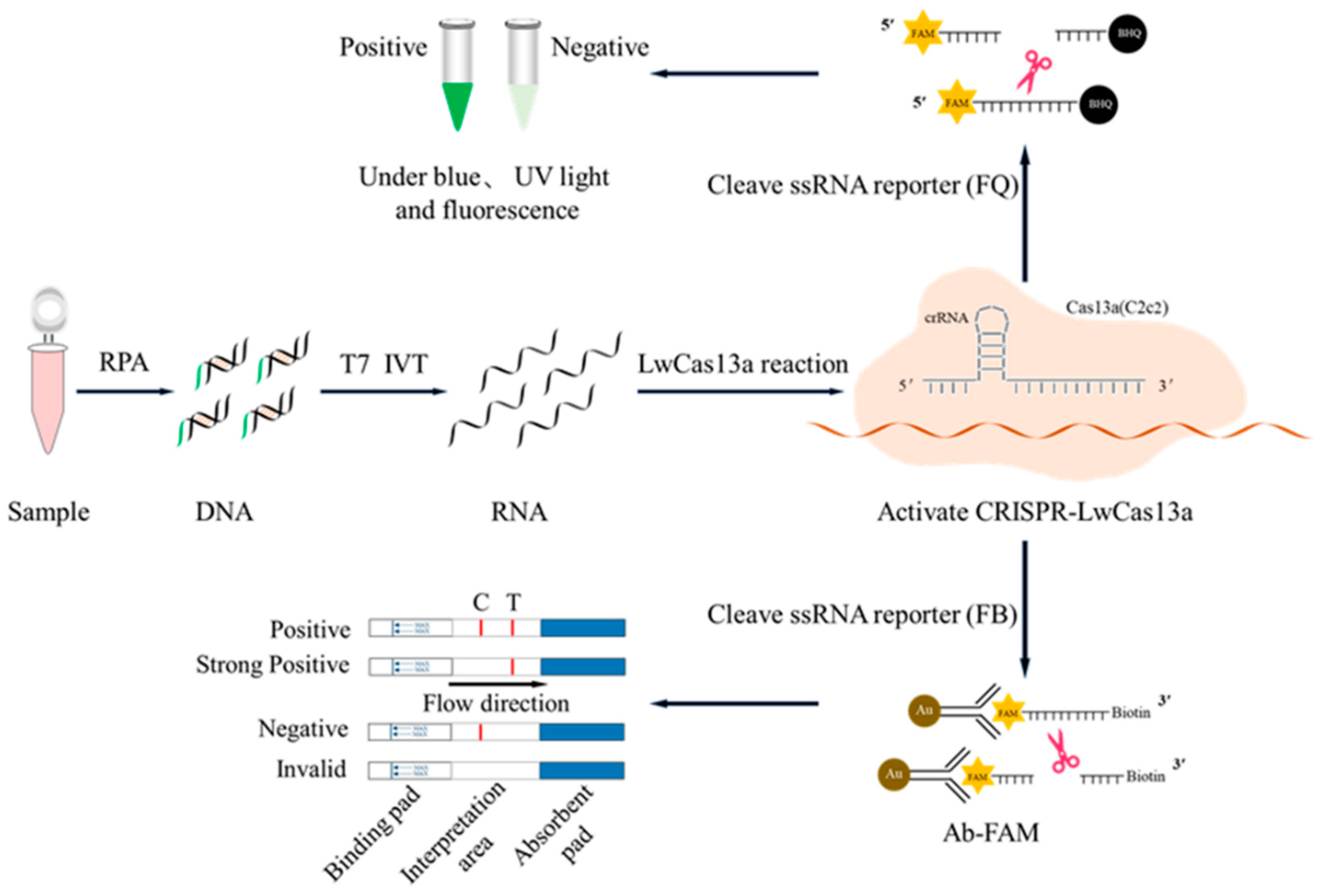 Preprints 87720 g001