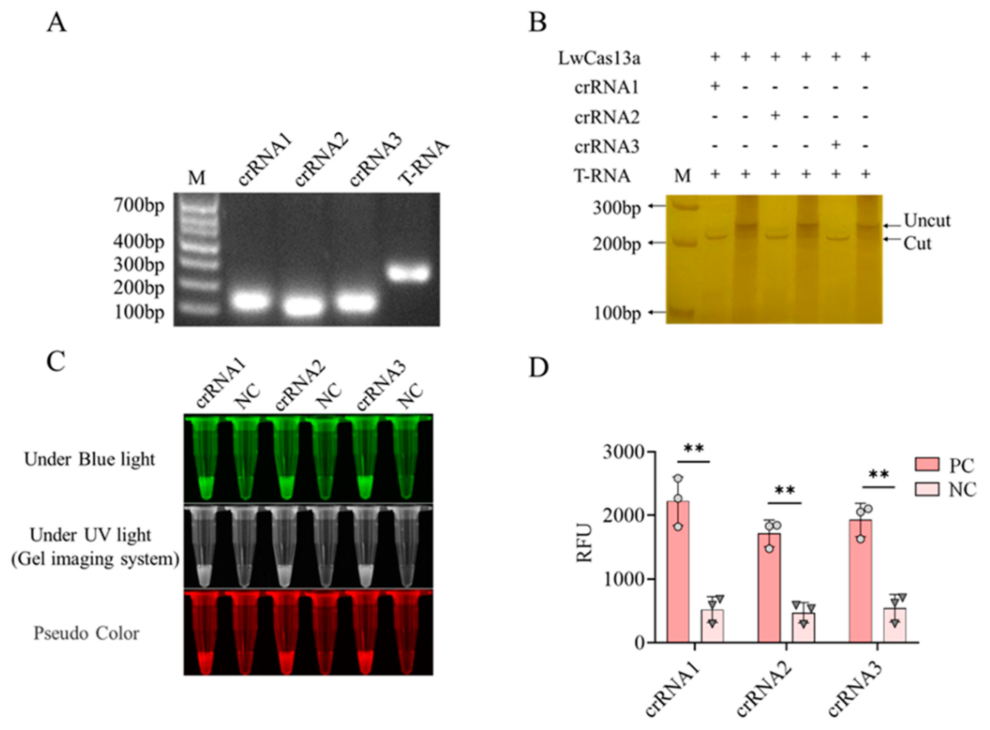 Preprints 87720 g002