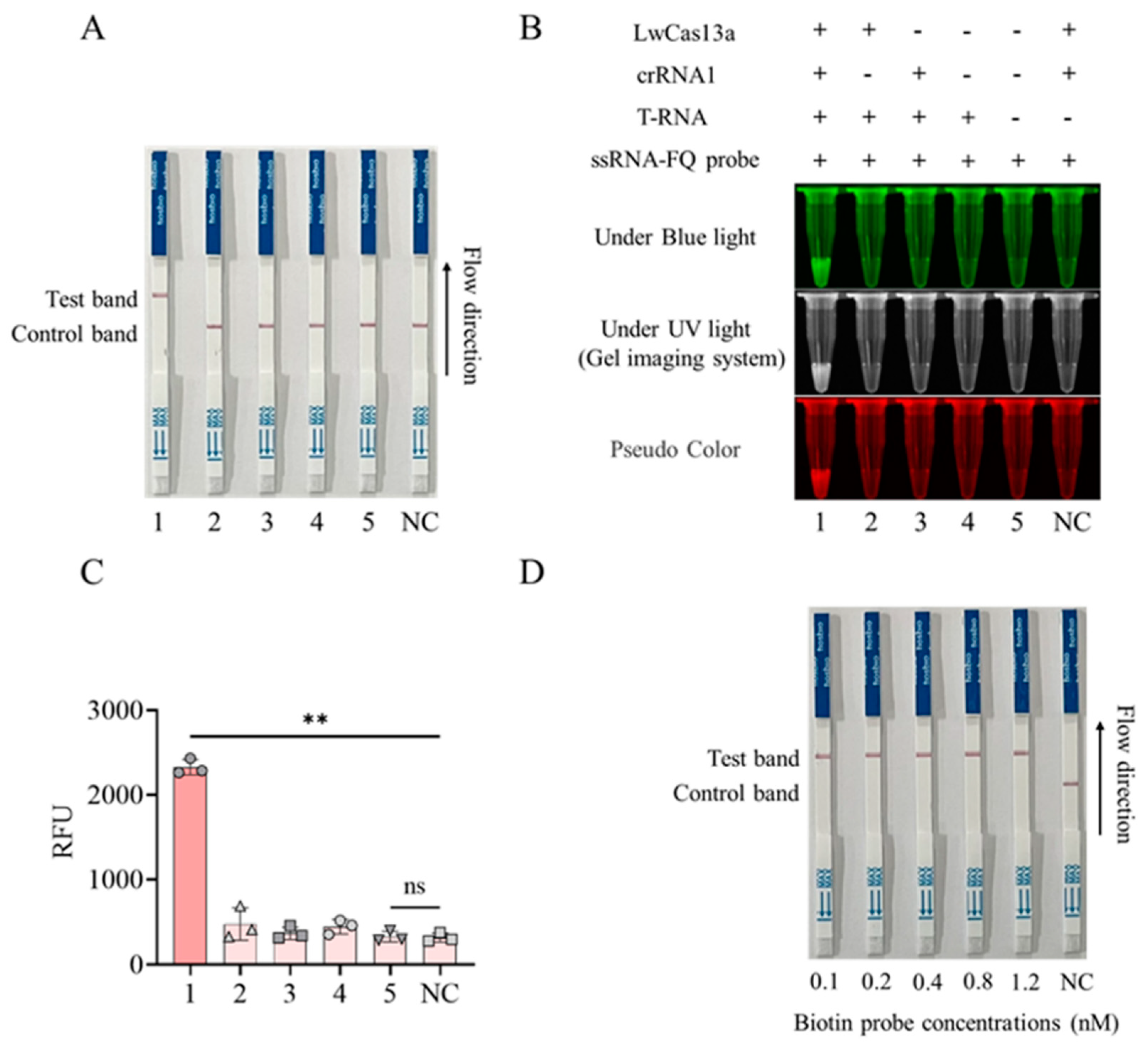 Preprints 87720 g004