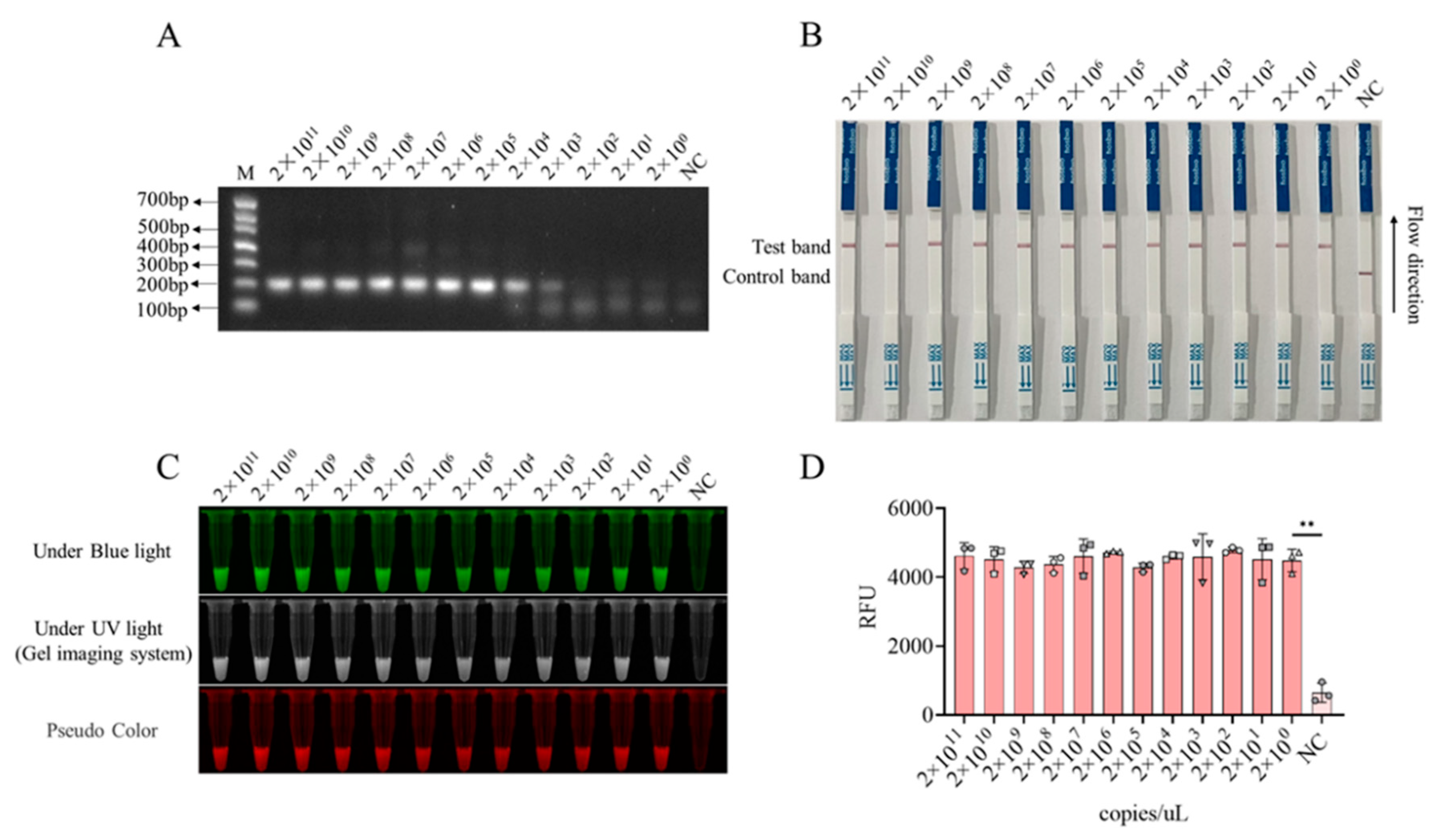 Preprints 87720 g005