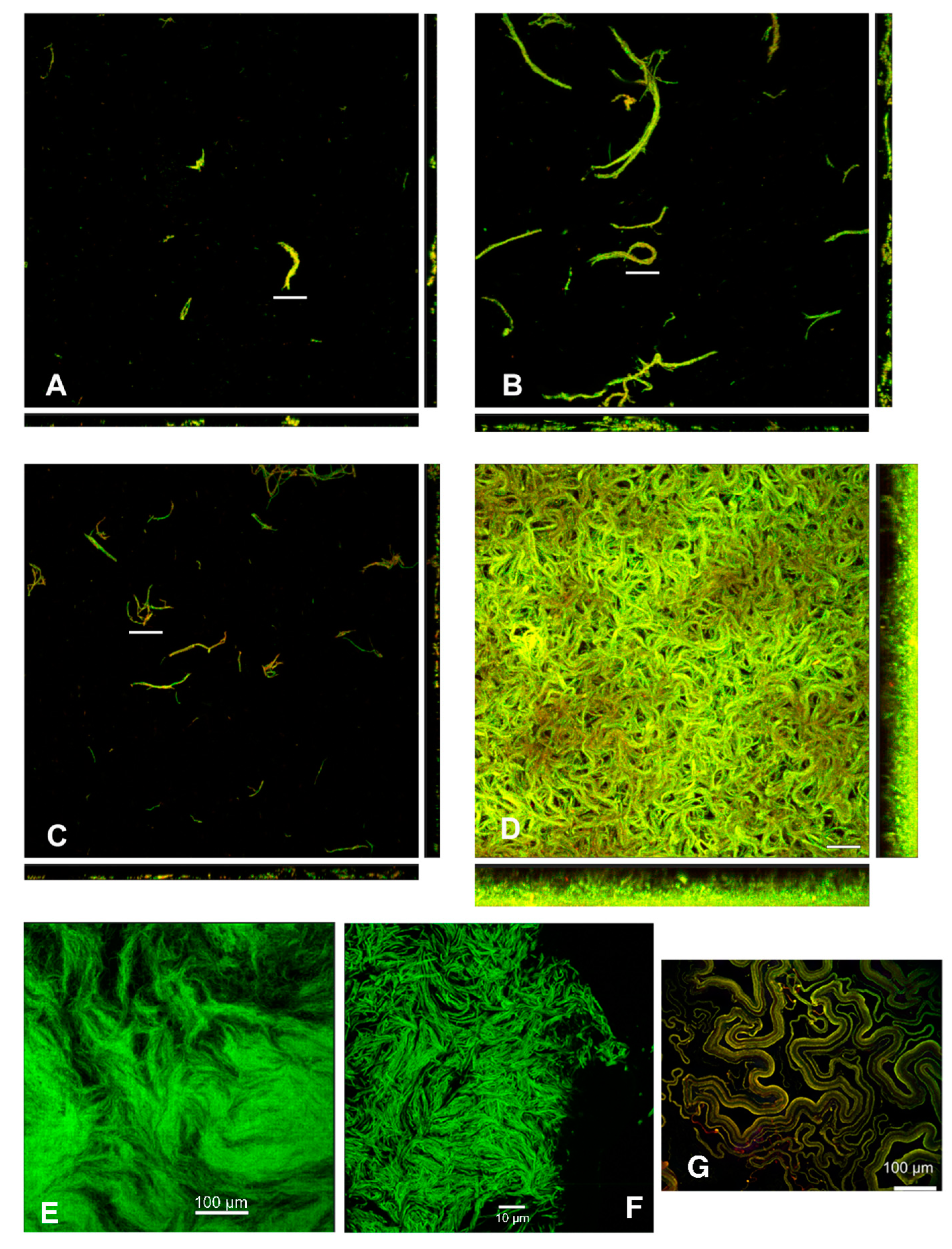 Preprints 80261 g003