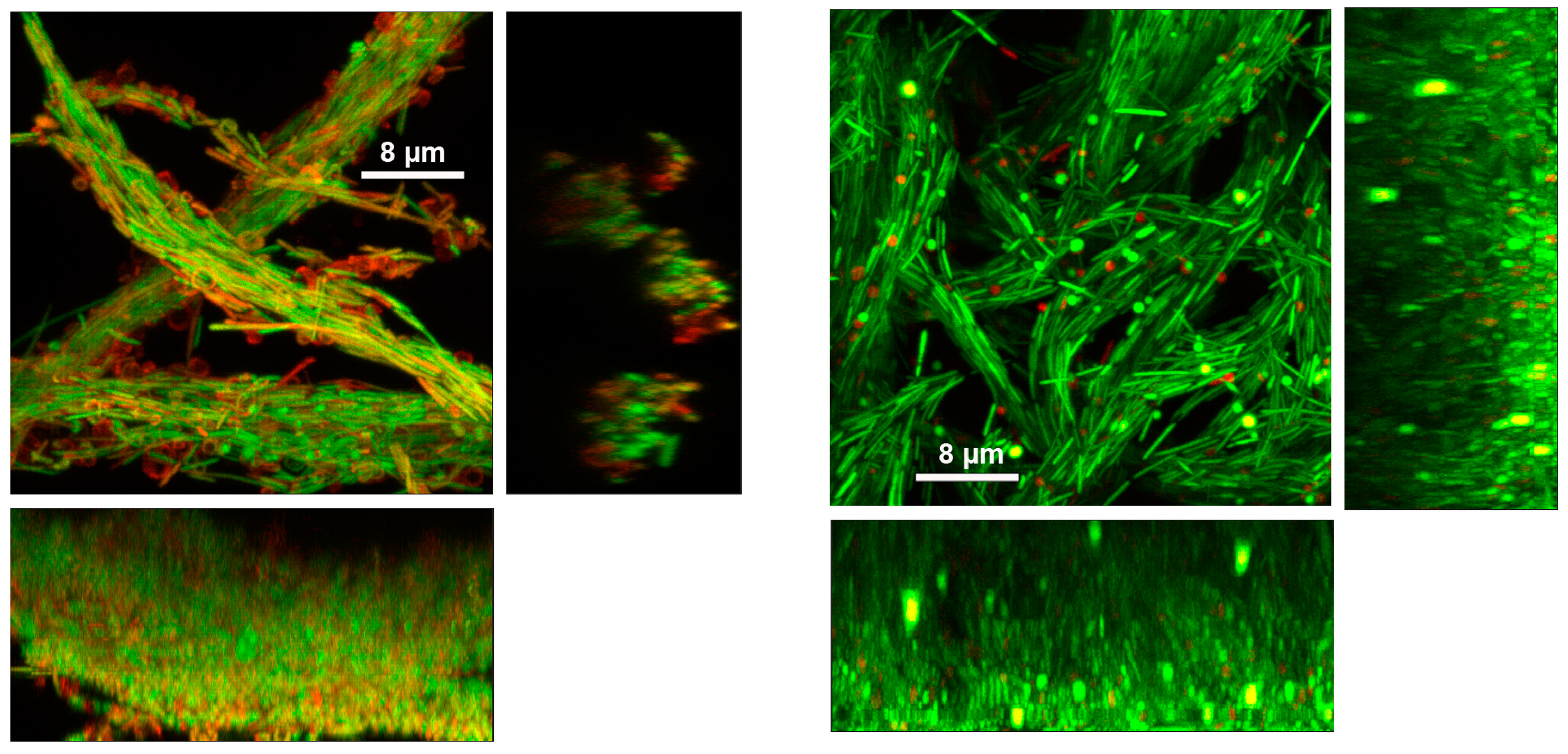 Preprints 80261 g005