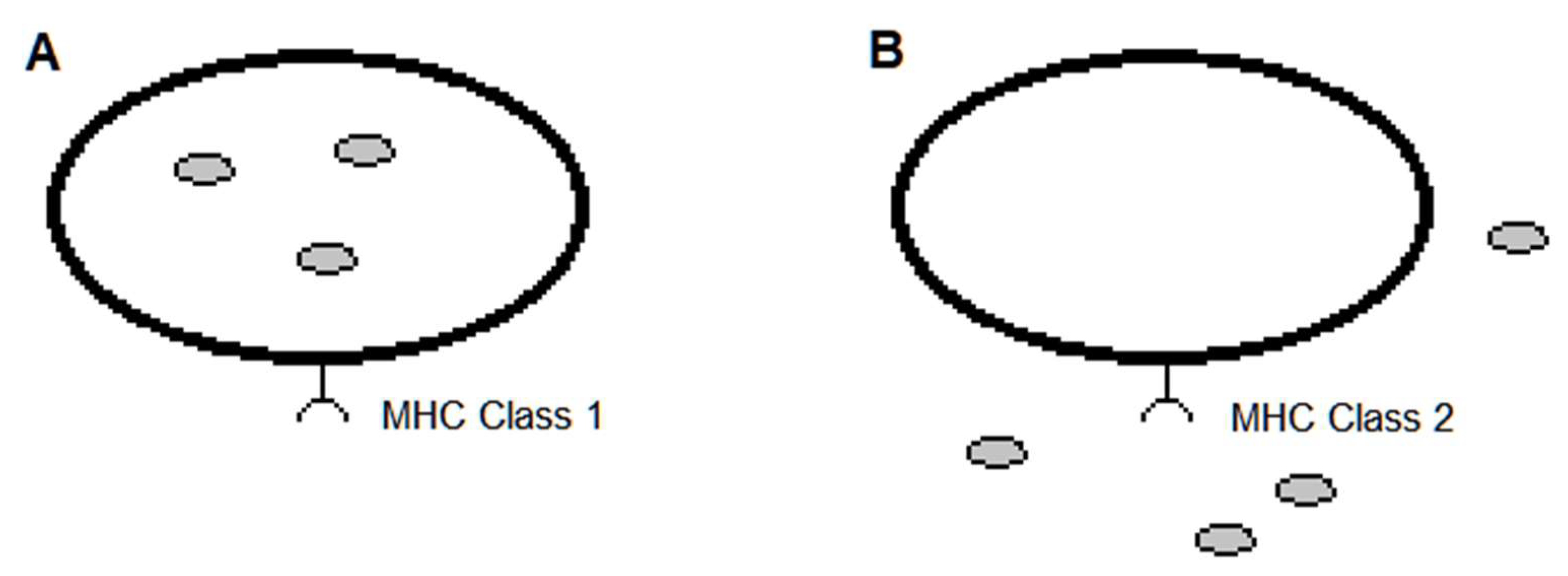 Preprints 97134 g001