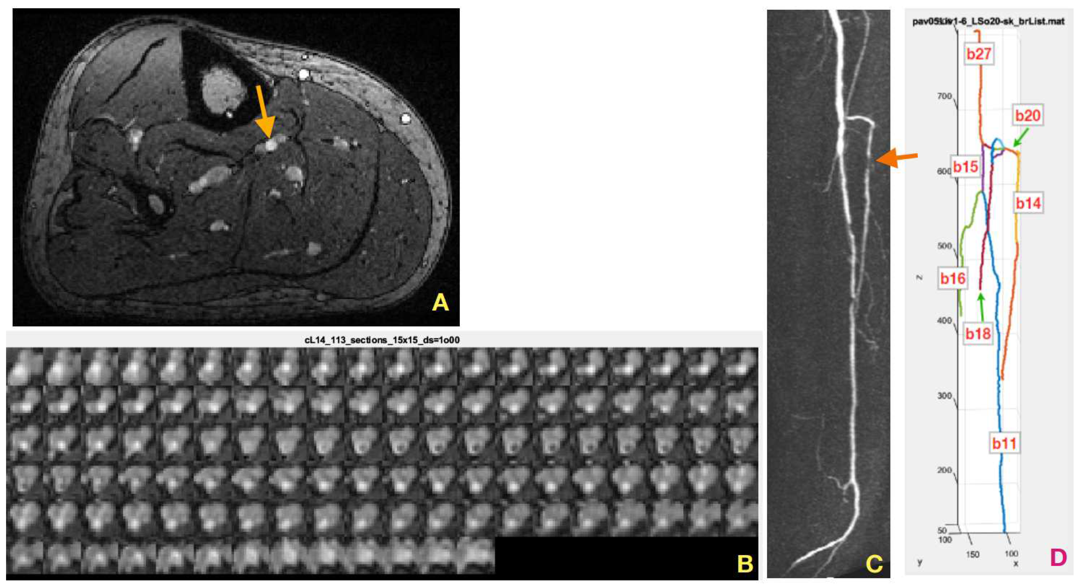 Preprints 94413 g001