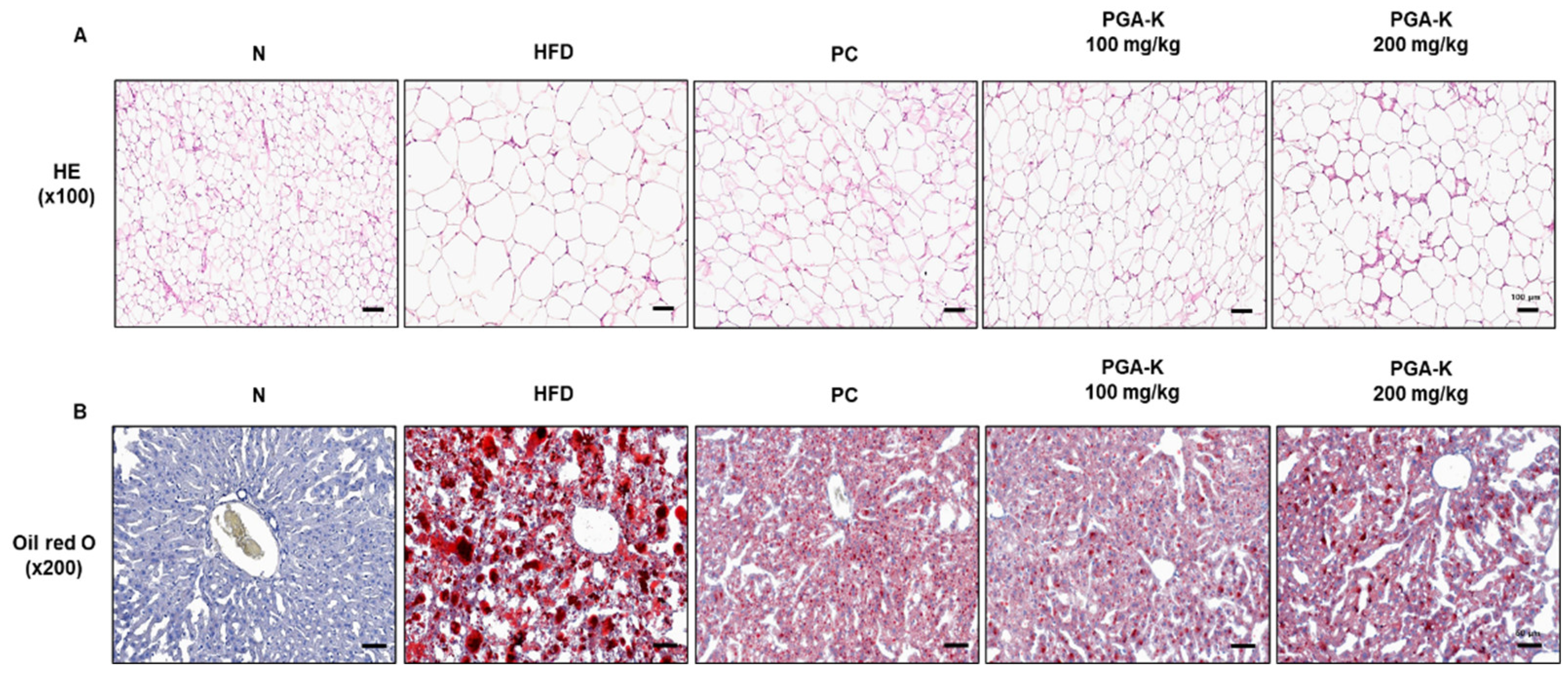 Preprints 98426 g002