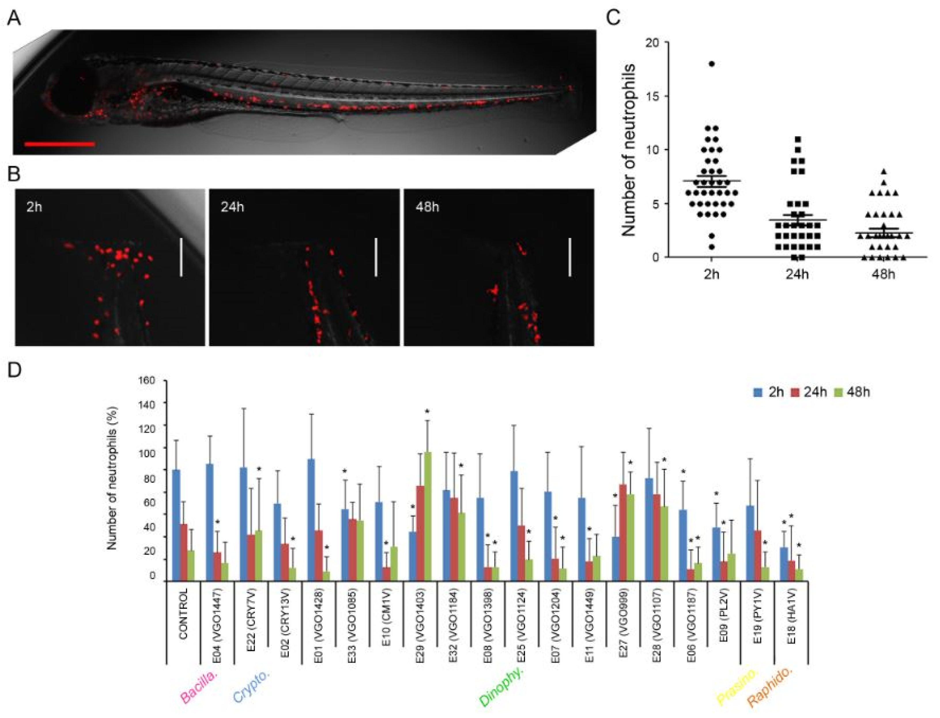 Preprints 100723 g003