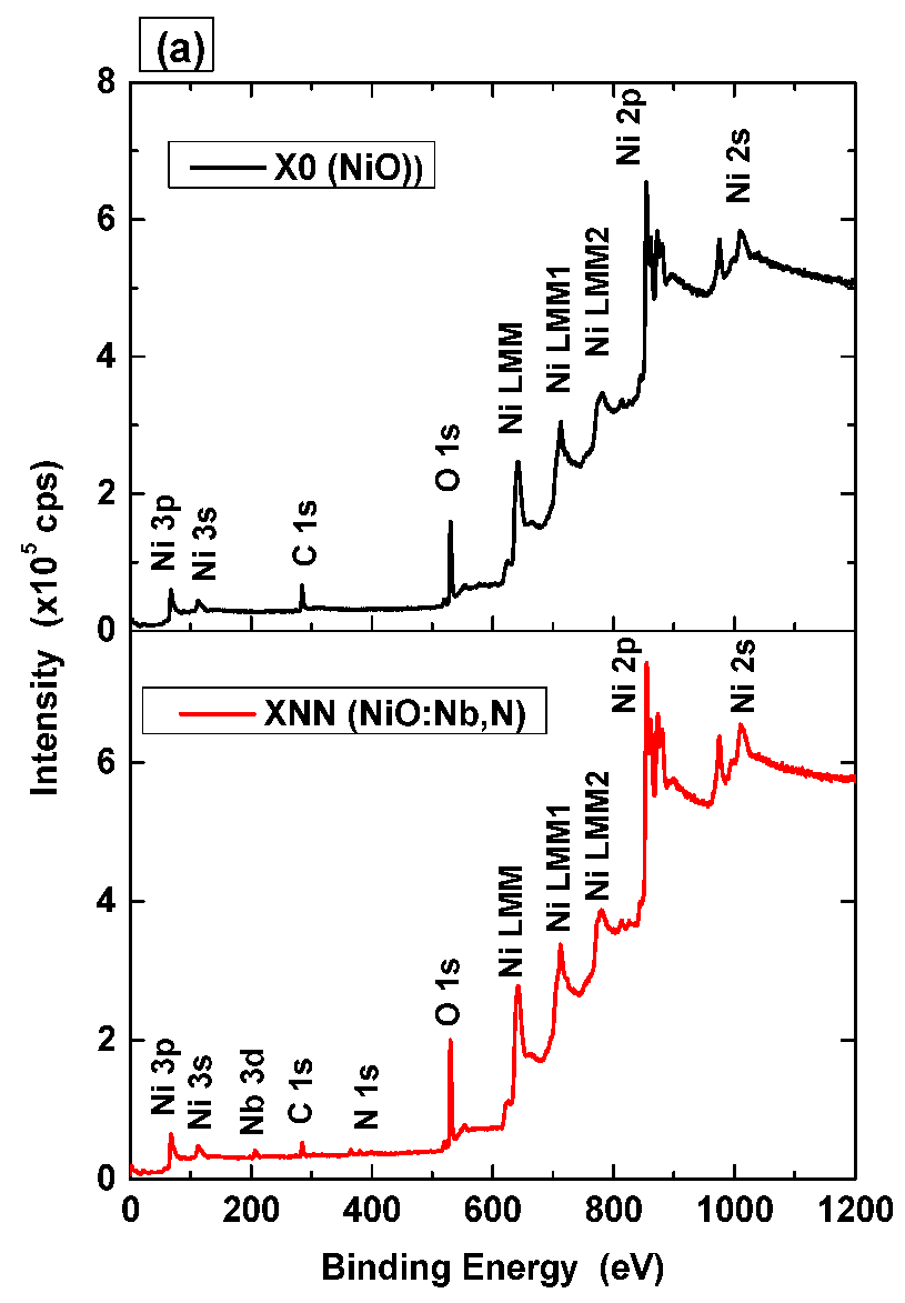 Preprints 109060 g003a