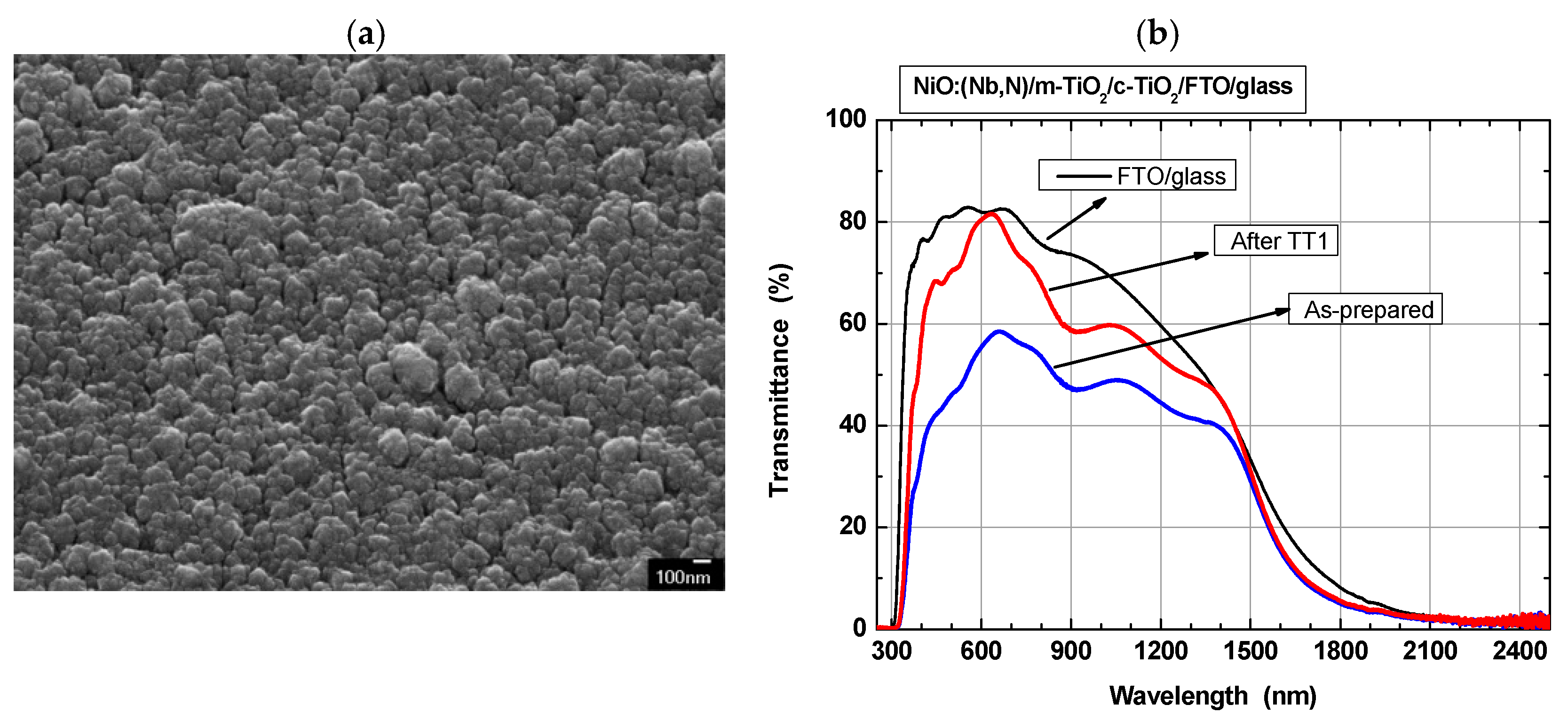 Preprints 109060 g007