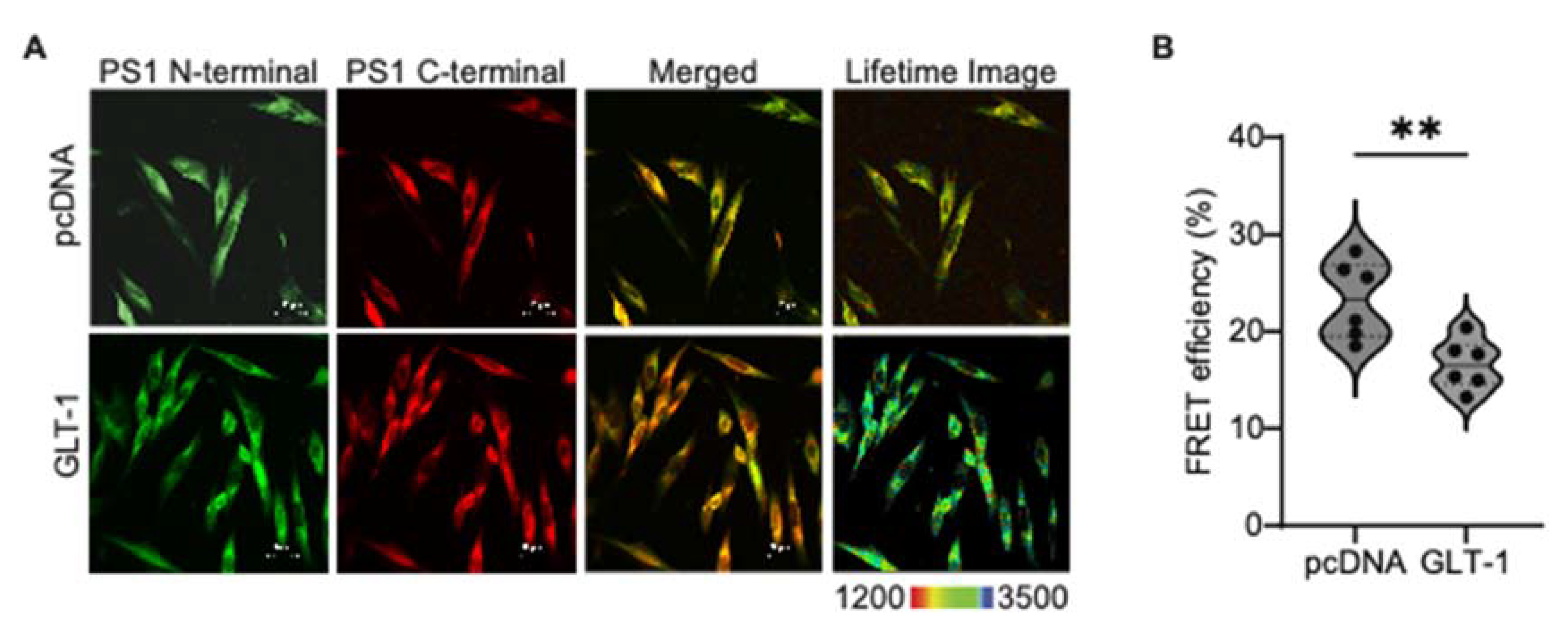 Preprints 116347 g002