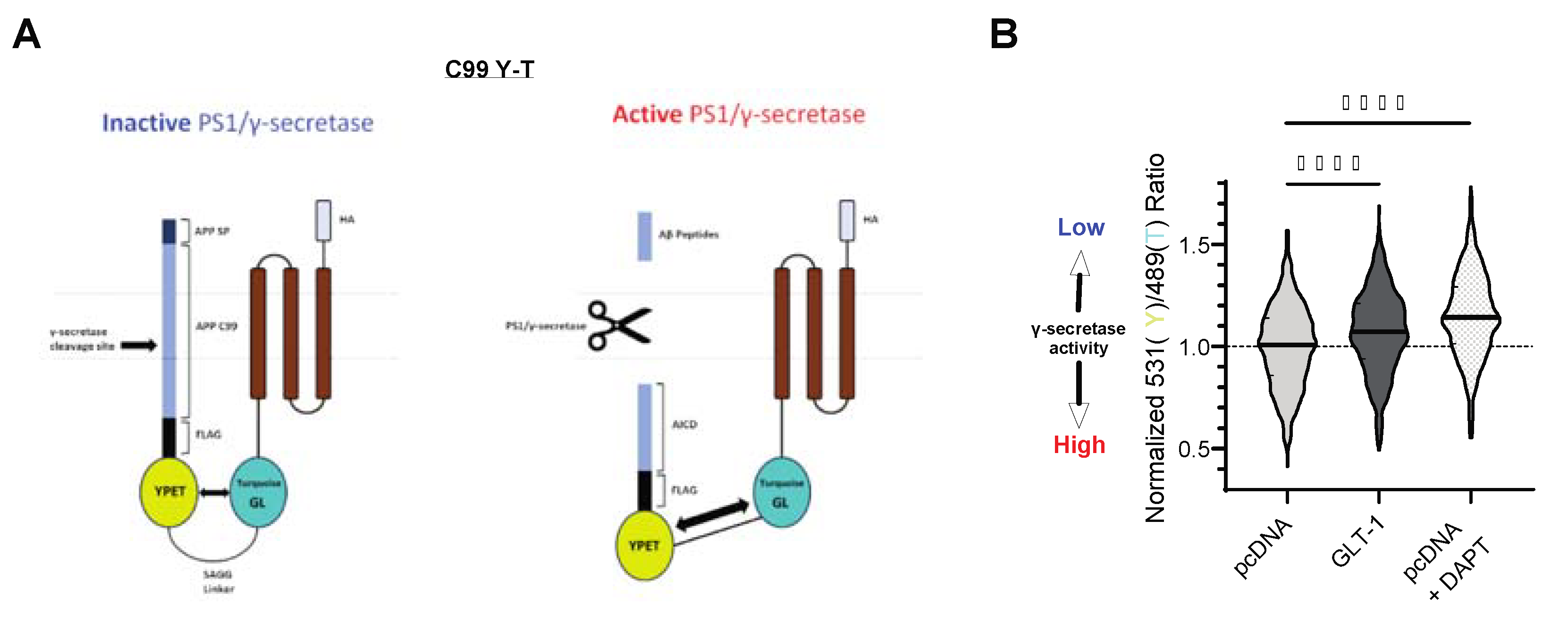 Preprints 116347 g003