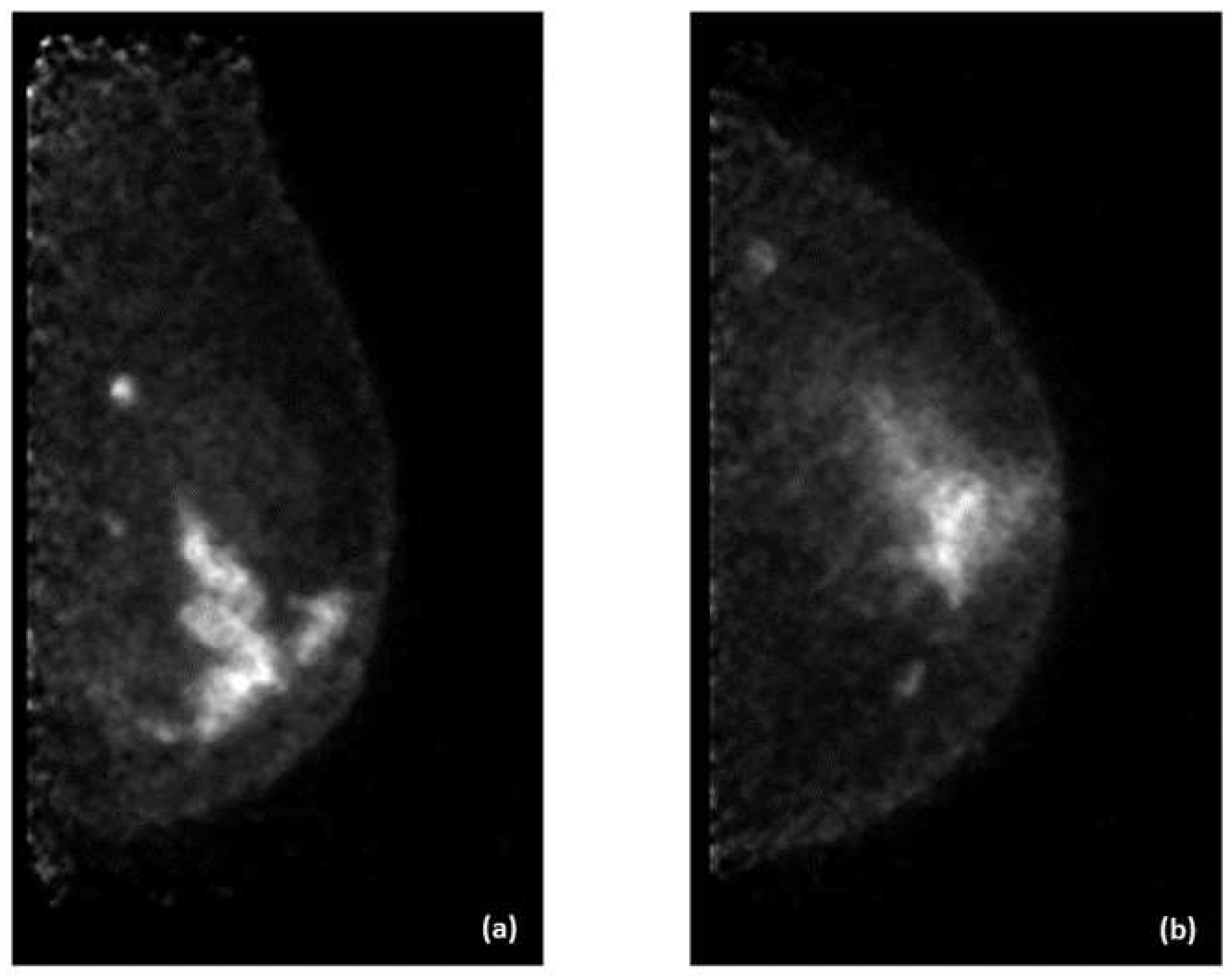 Preprints 115647 g003