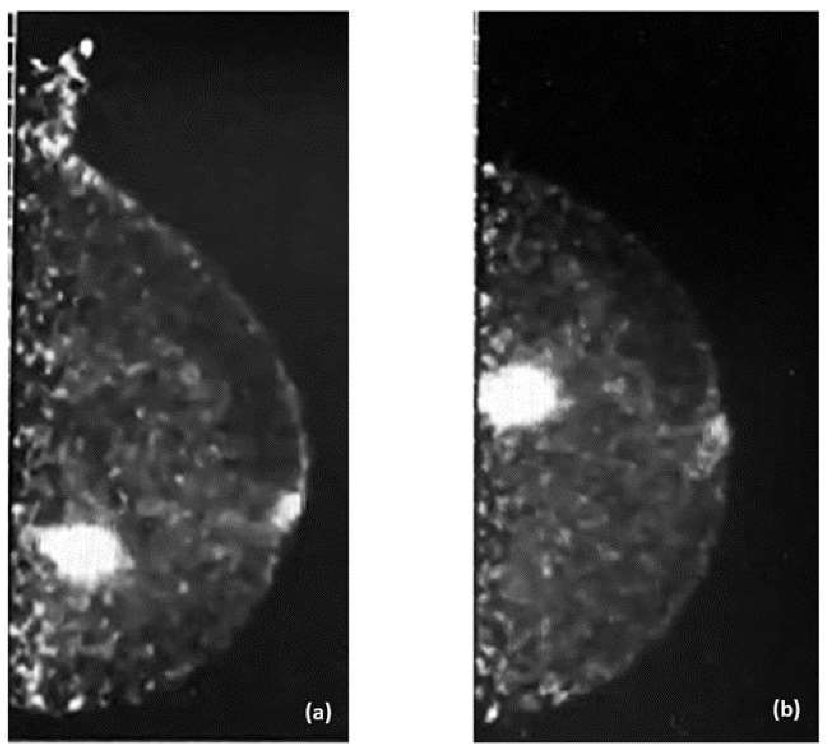 Preprints 115647 g004