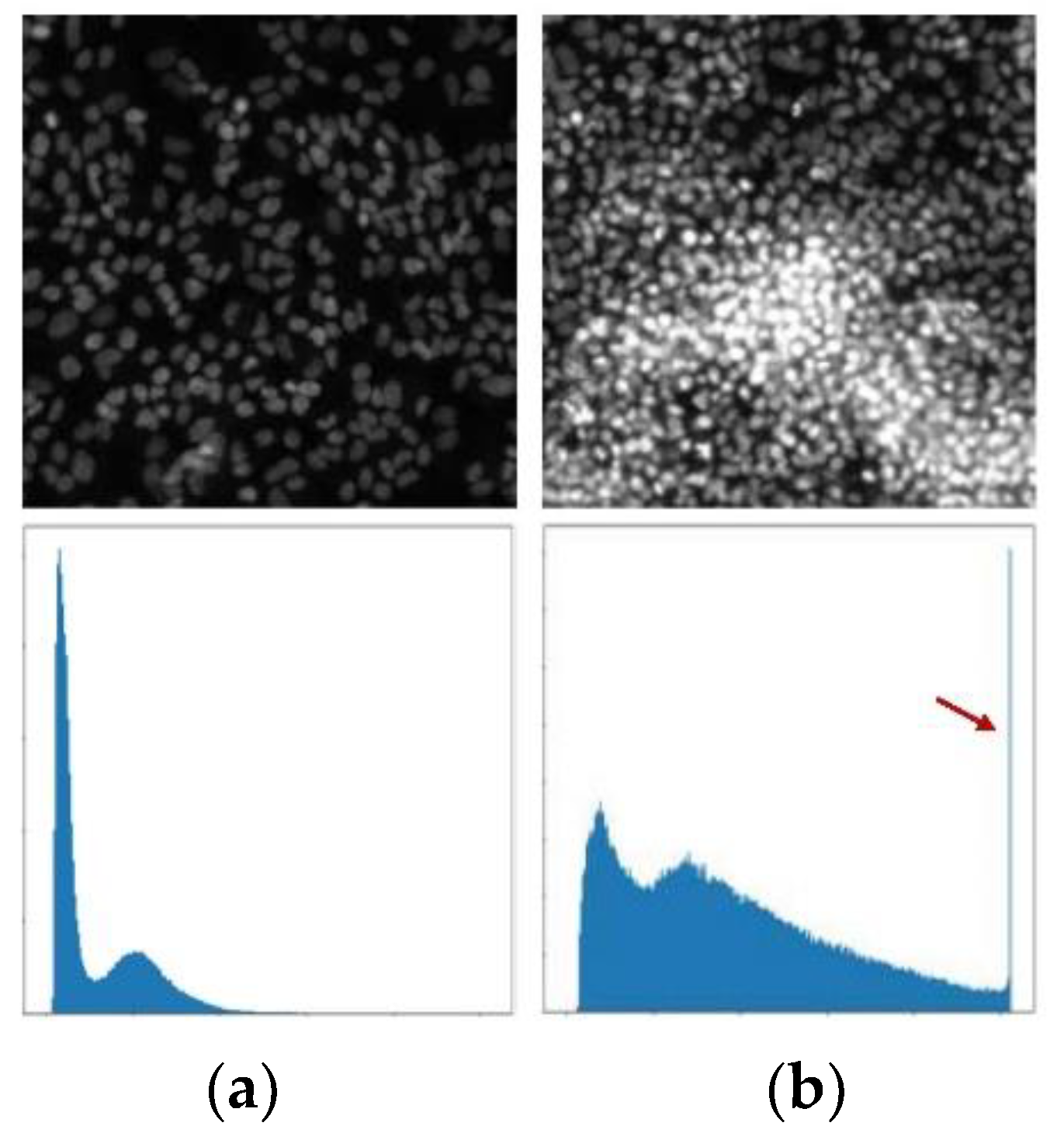 Preprints 108377 g002