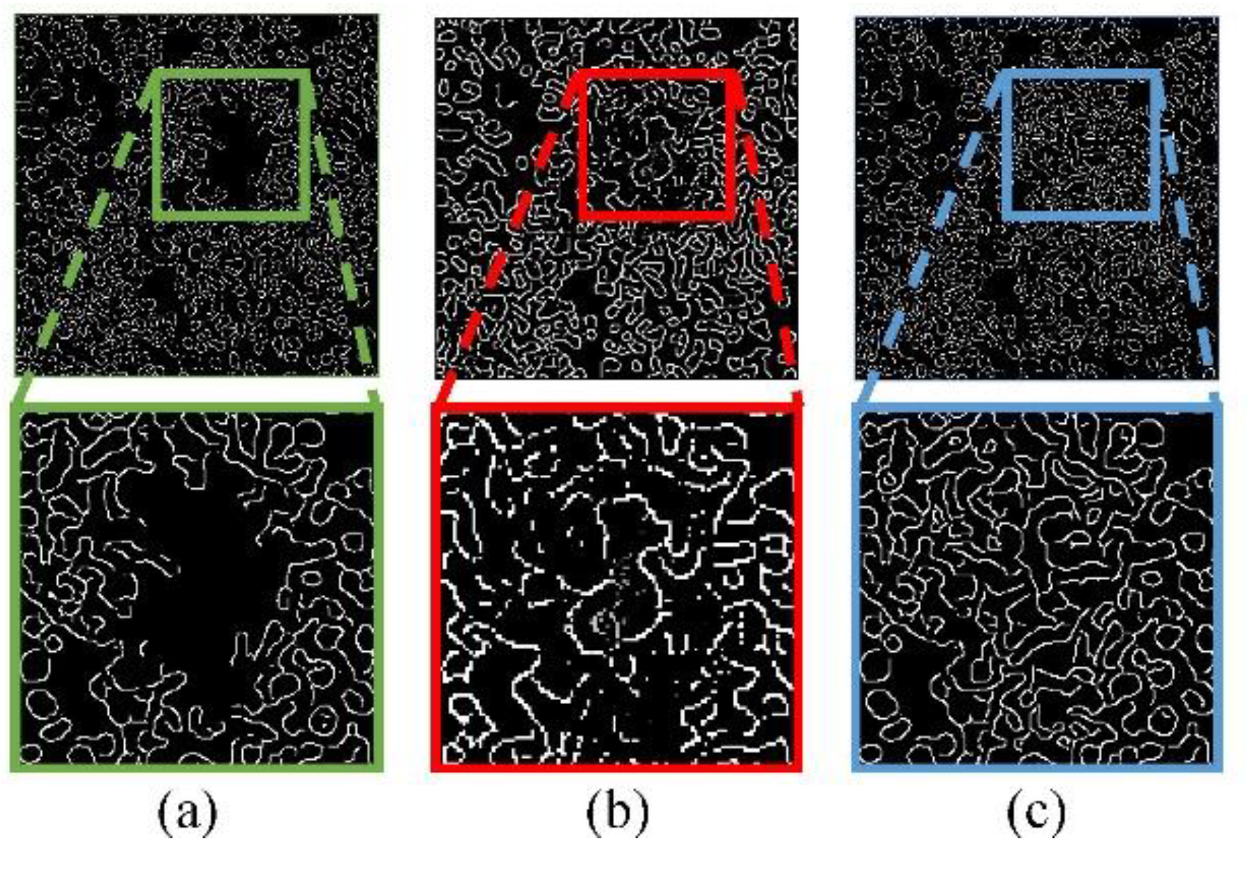 Preprints 108377 g003