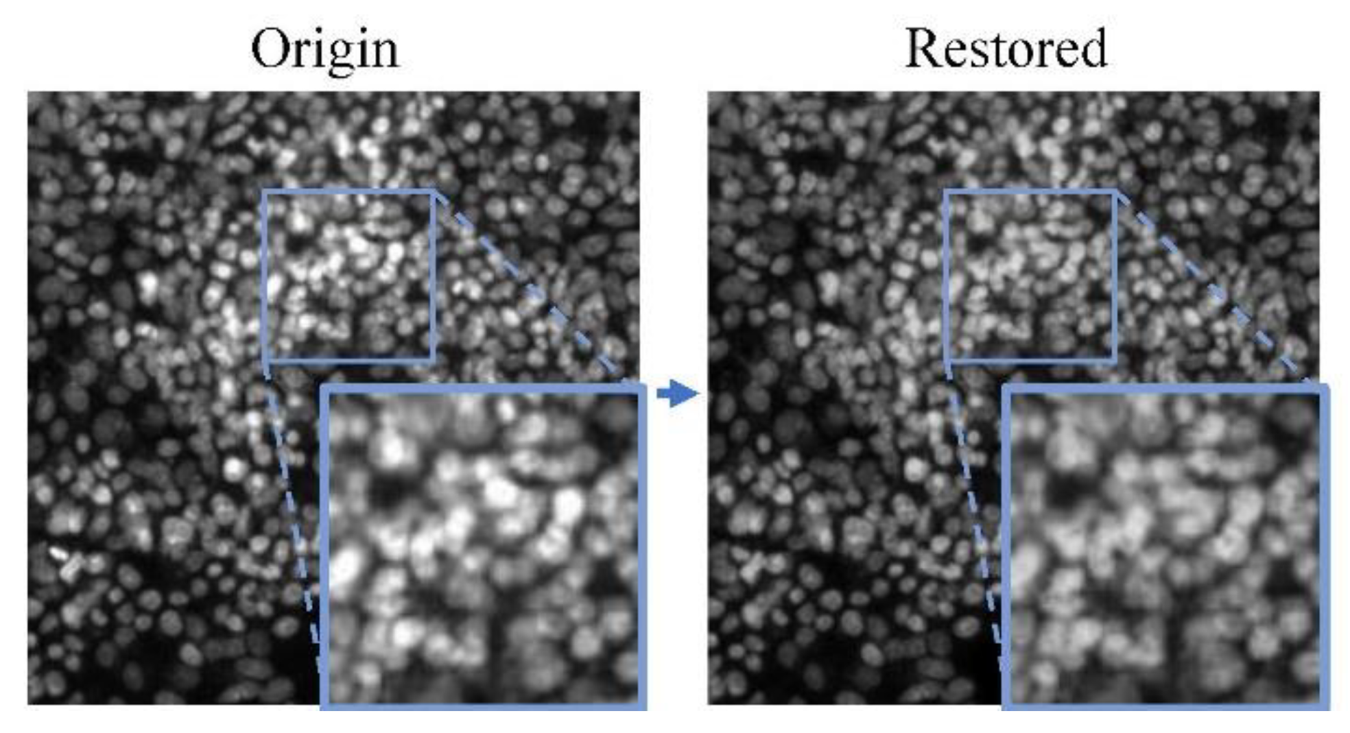 Preprints 108377 g005