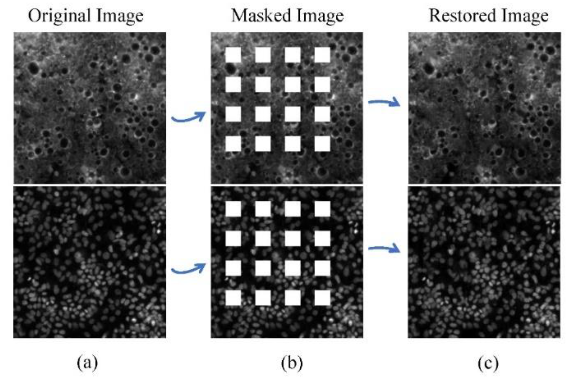 Preprints 108377 g006