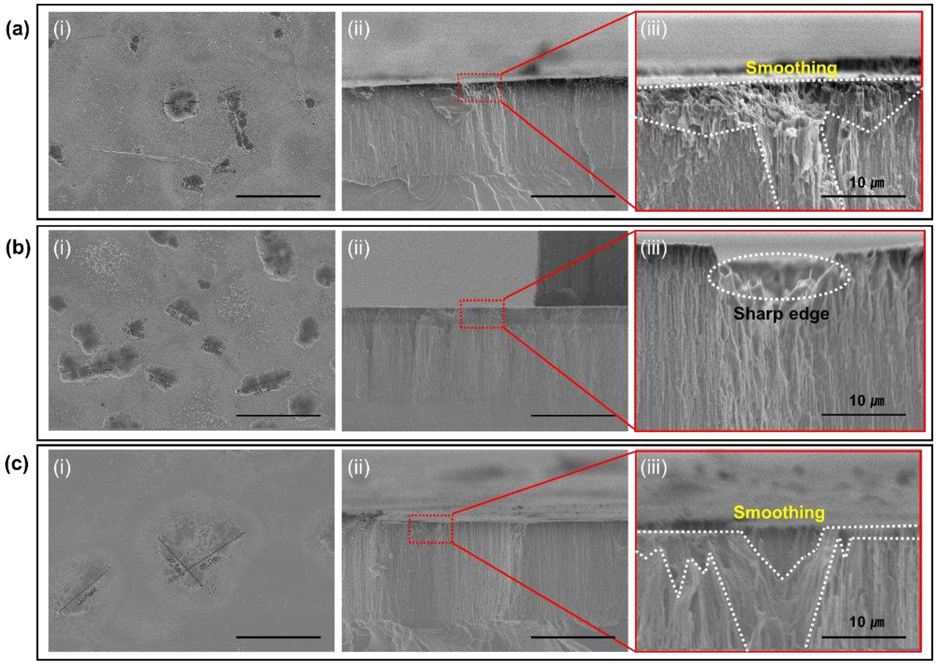 Preprints 95191 g005