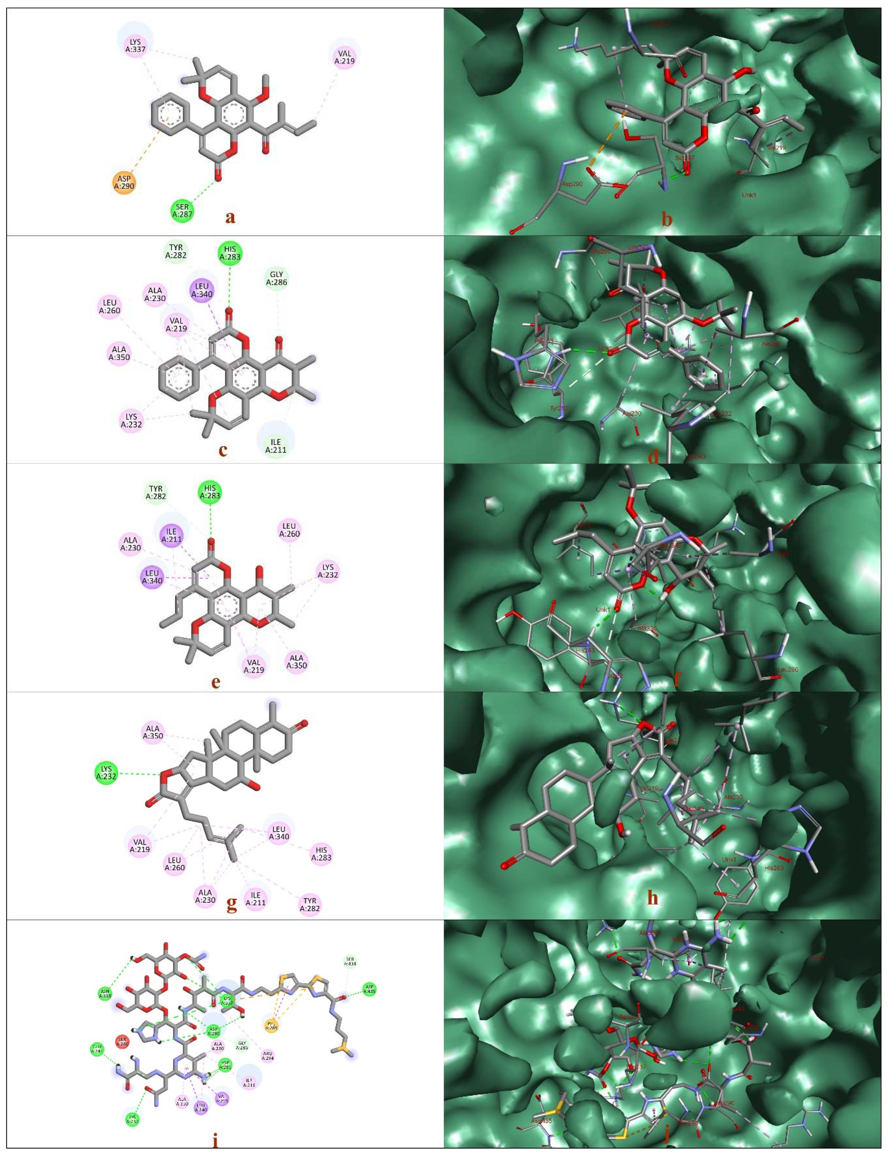 Preprints 82308 g001