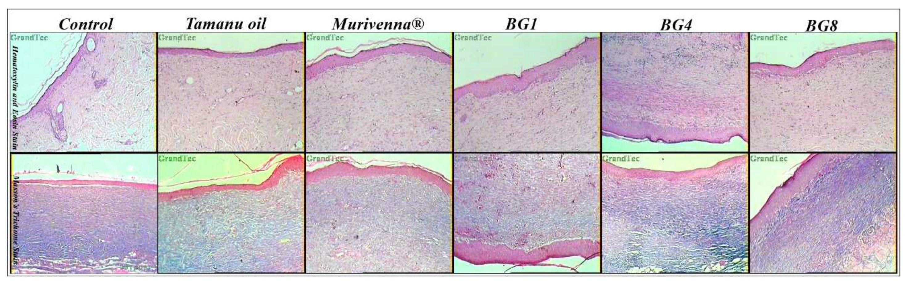 Preprints 82308 g005