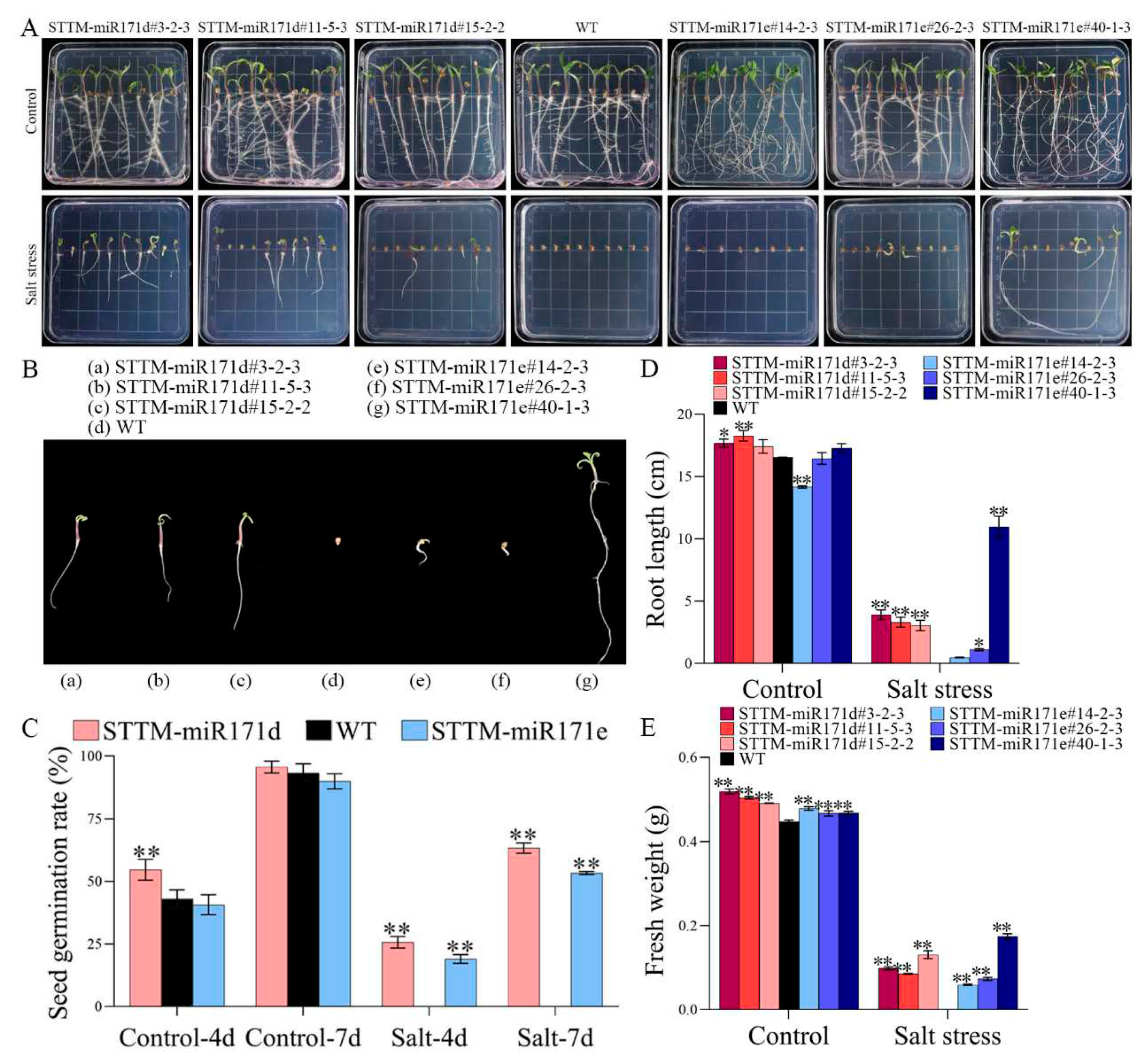 Preprints 79099 g001