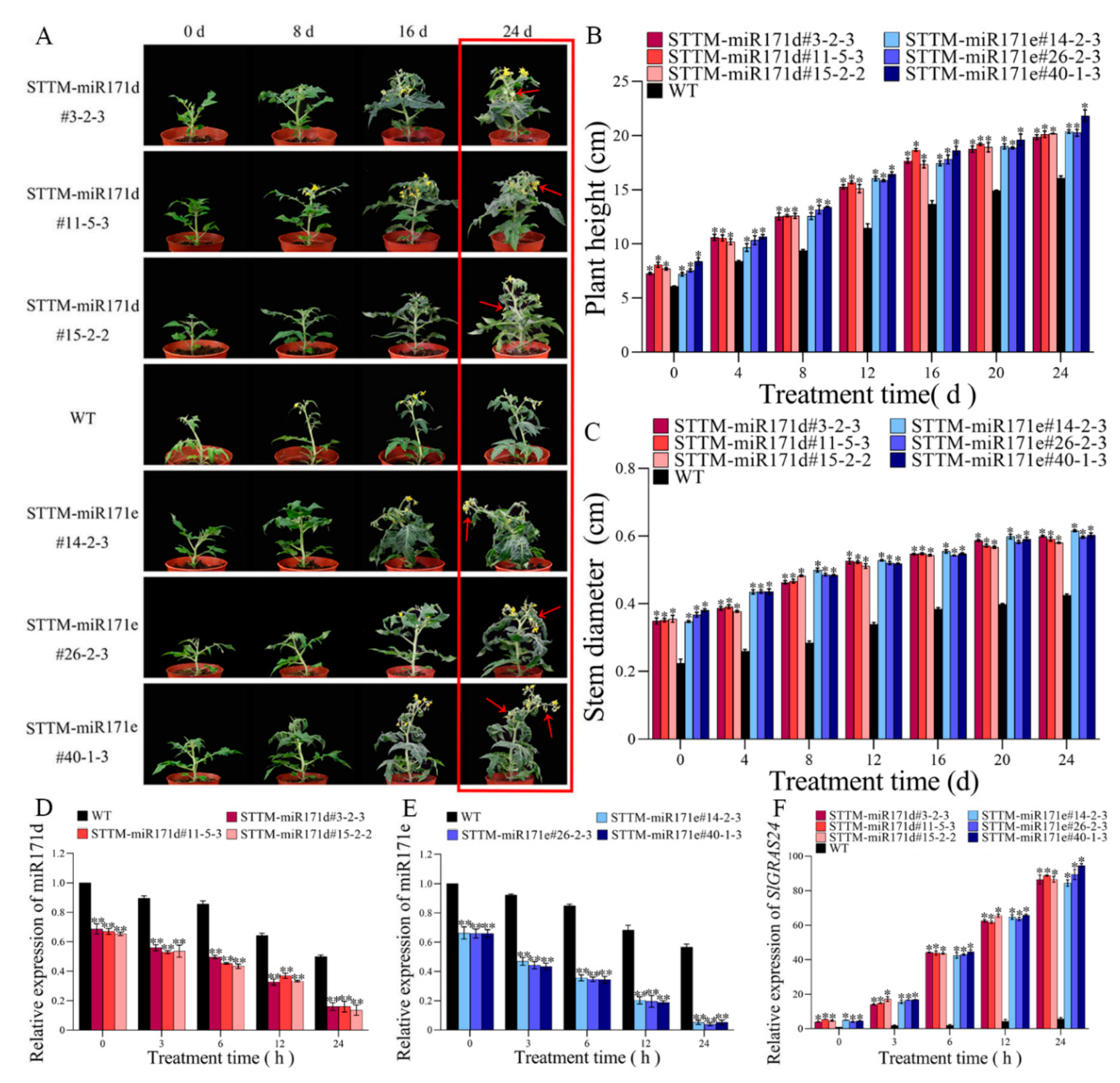 Preprints 79099 g002