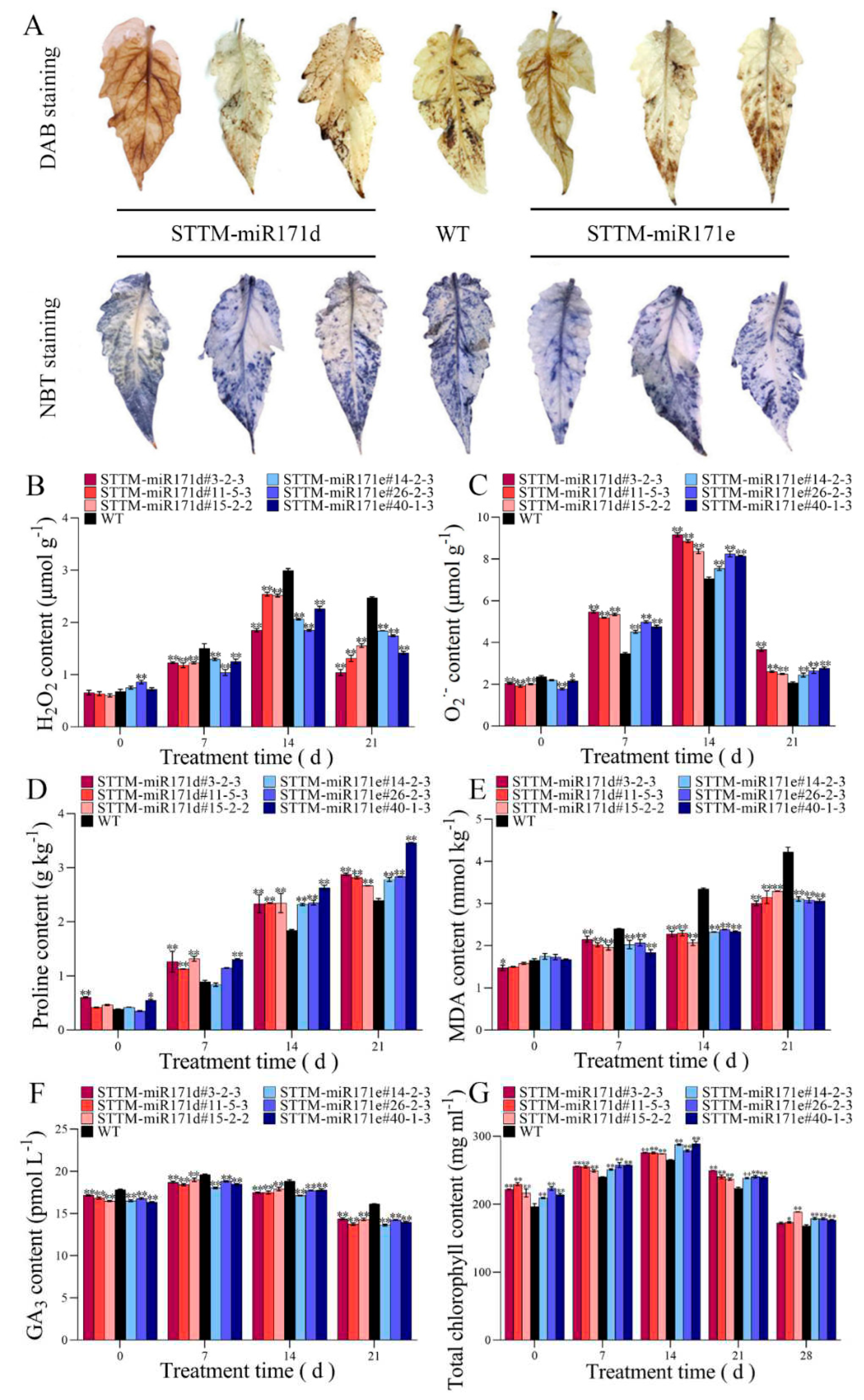 Preprints 79099 g003