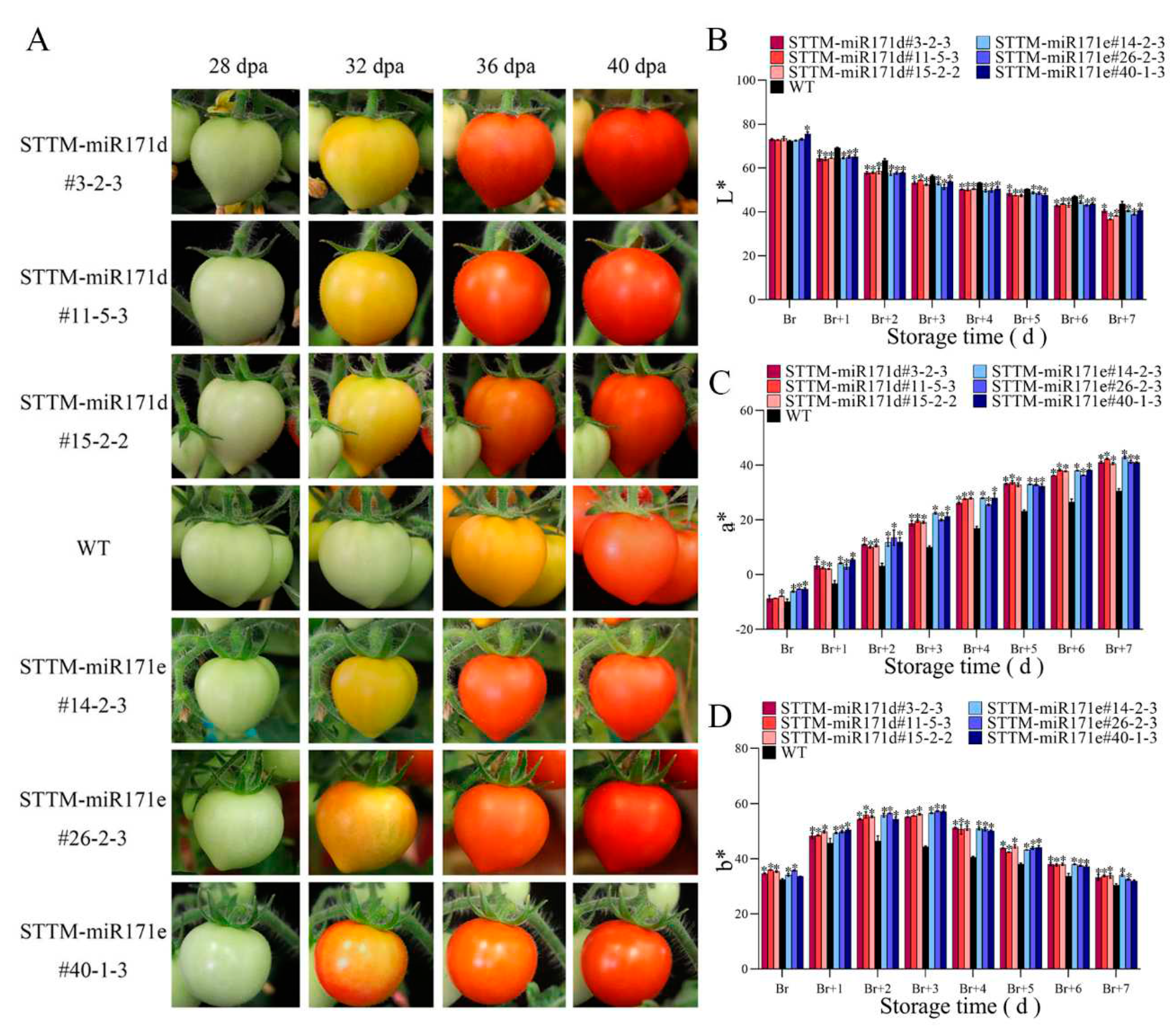 Preprints 79099 g004