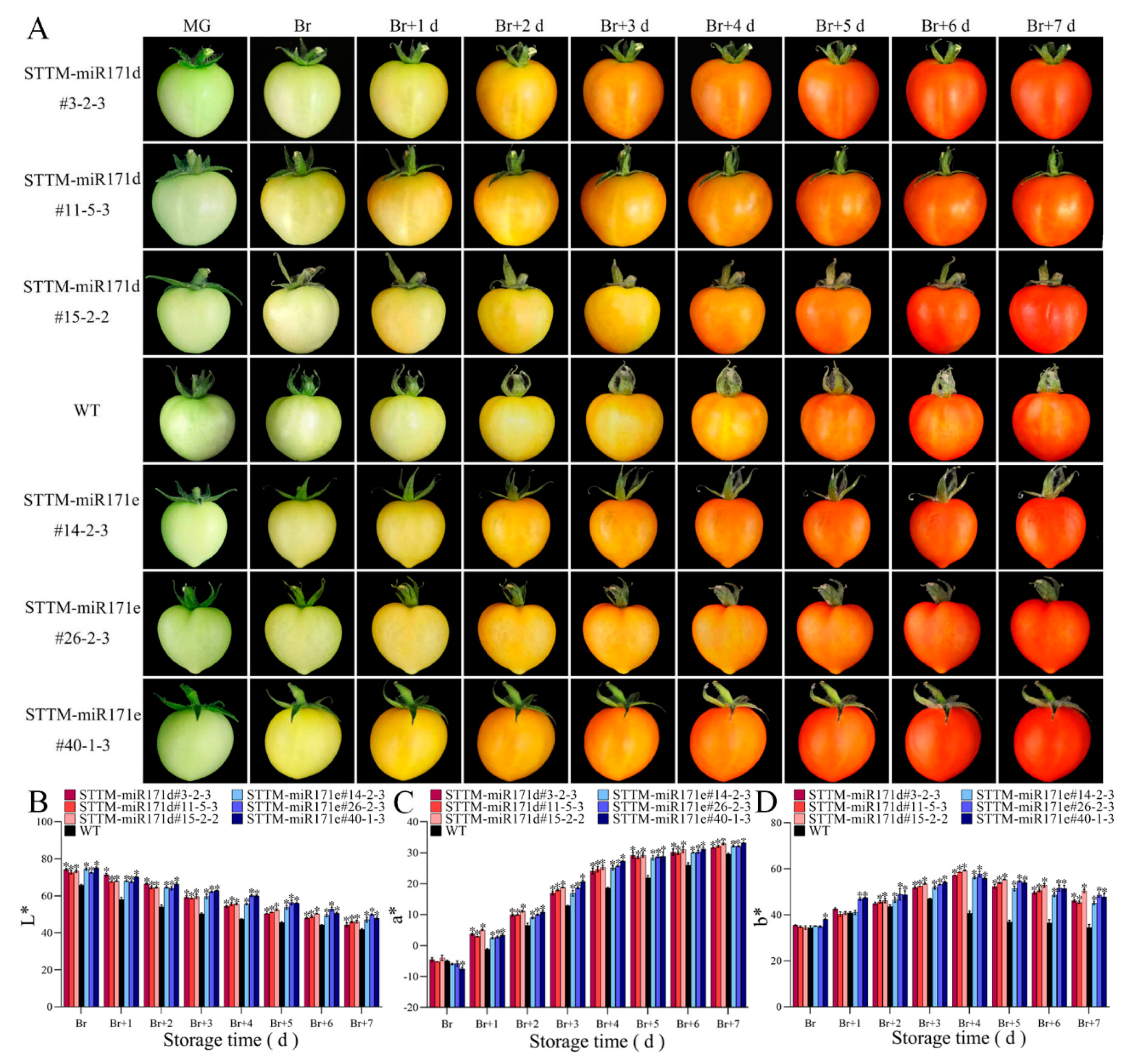 Preprints 79099 g005