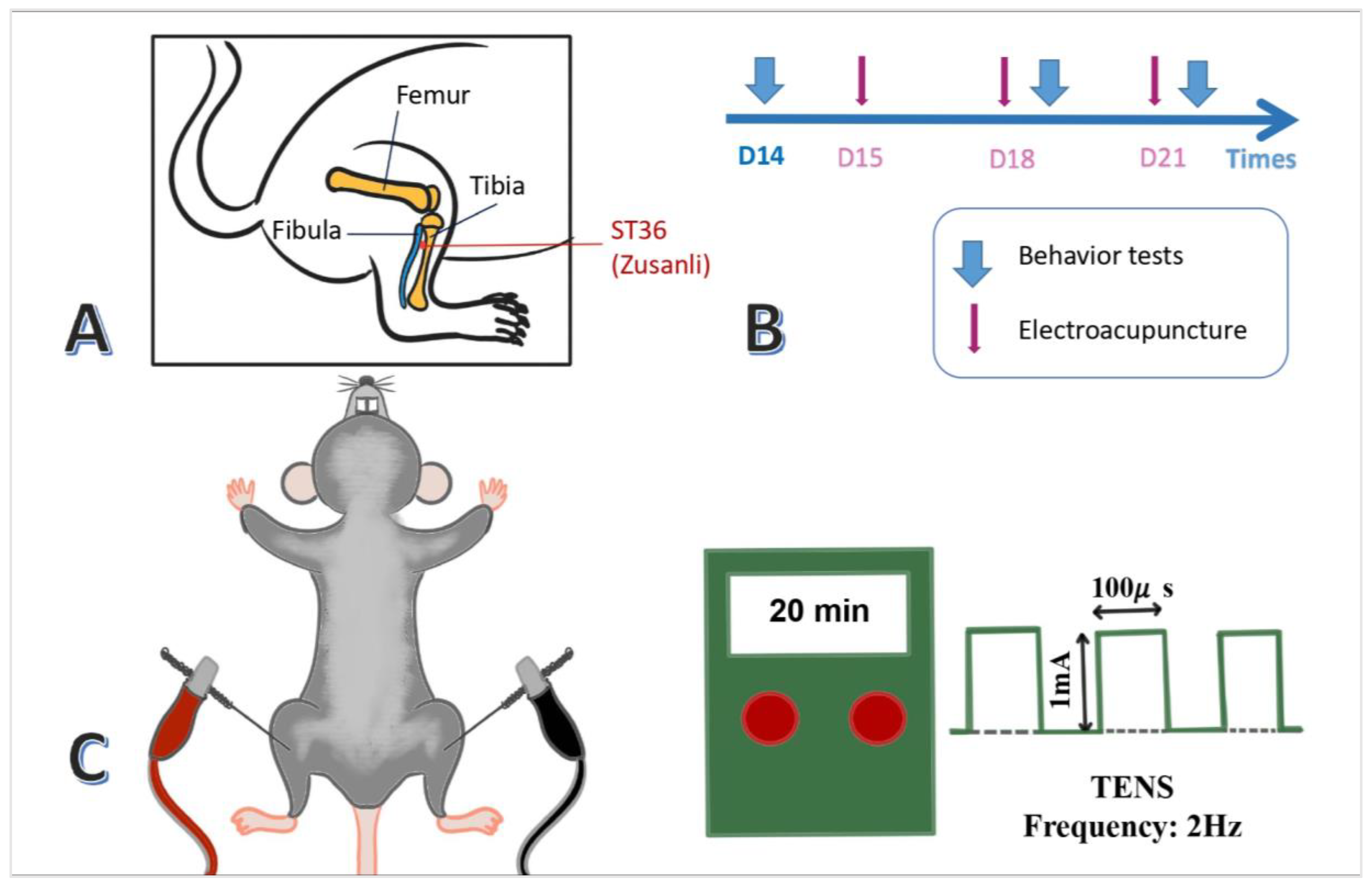 Preprints 138489 g001