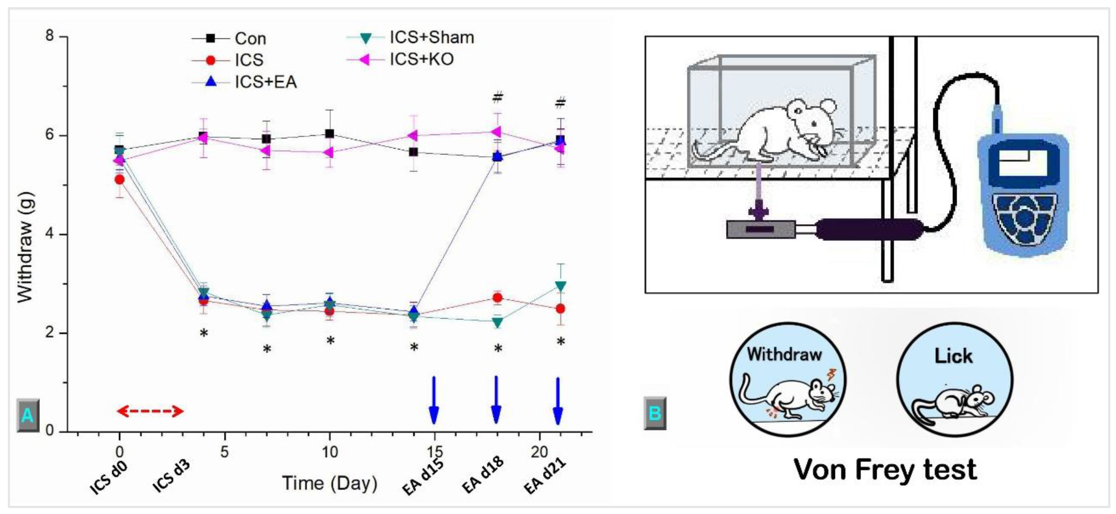 Preprints 138489 g002