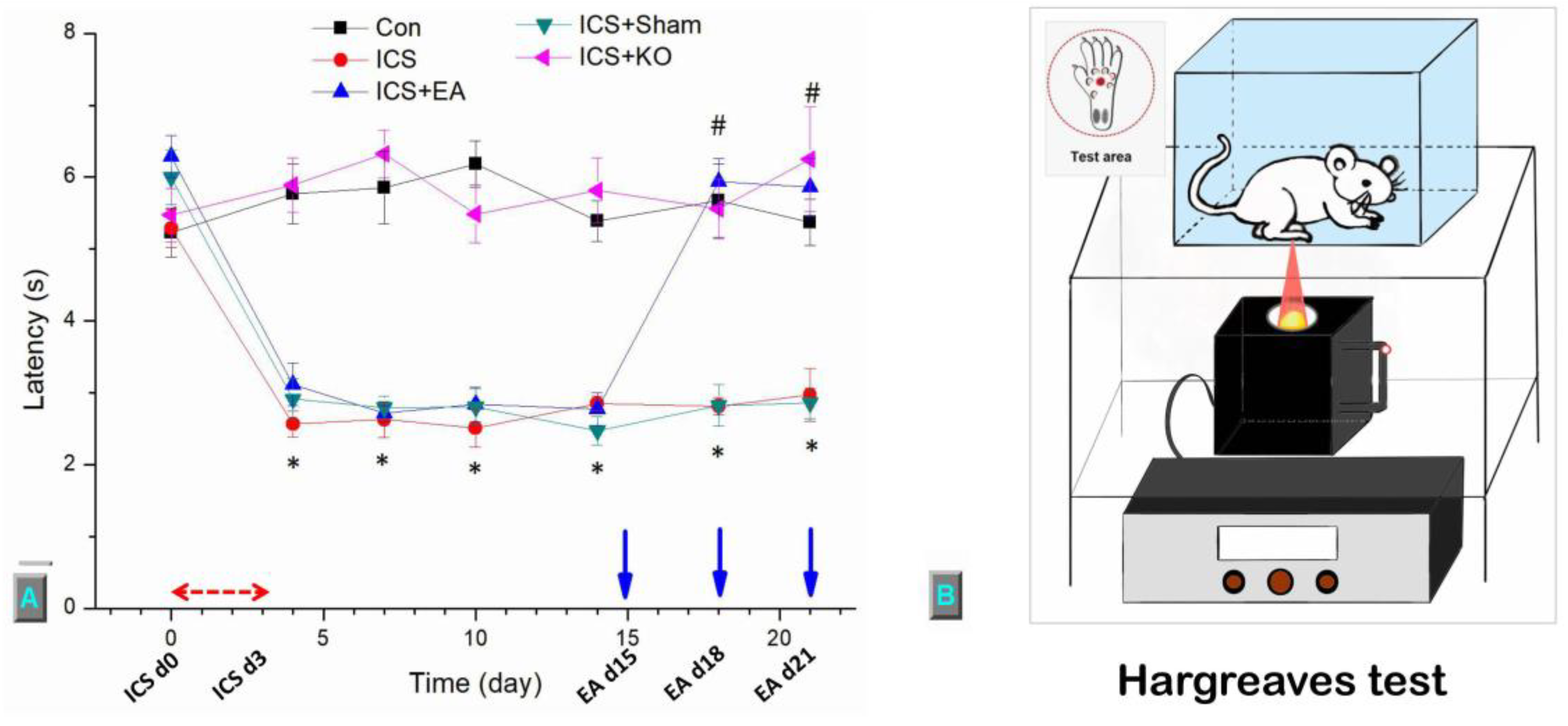 Preprints 138489 g003