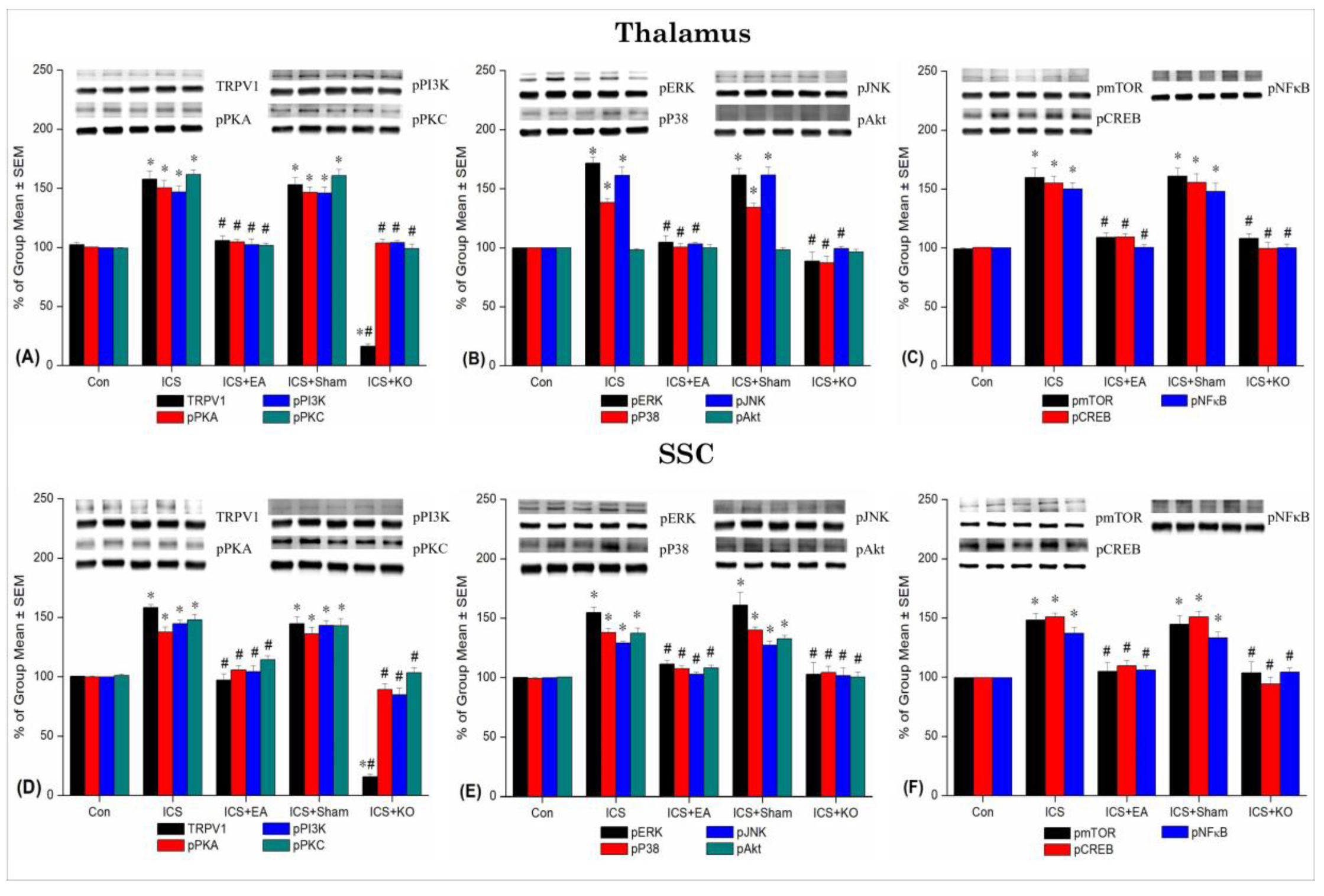 Preprints 138489 g004