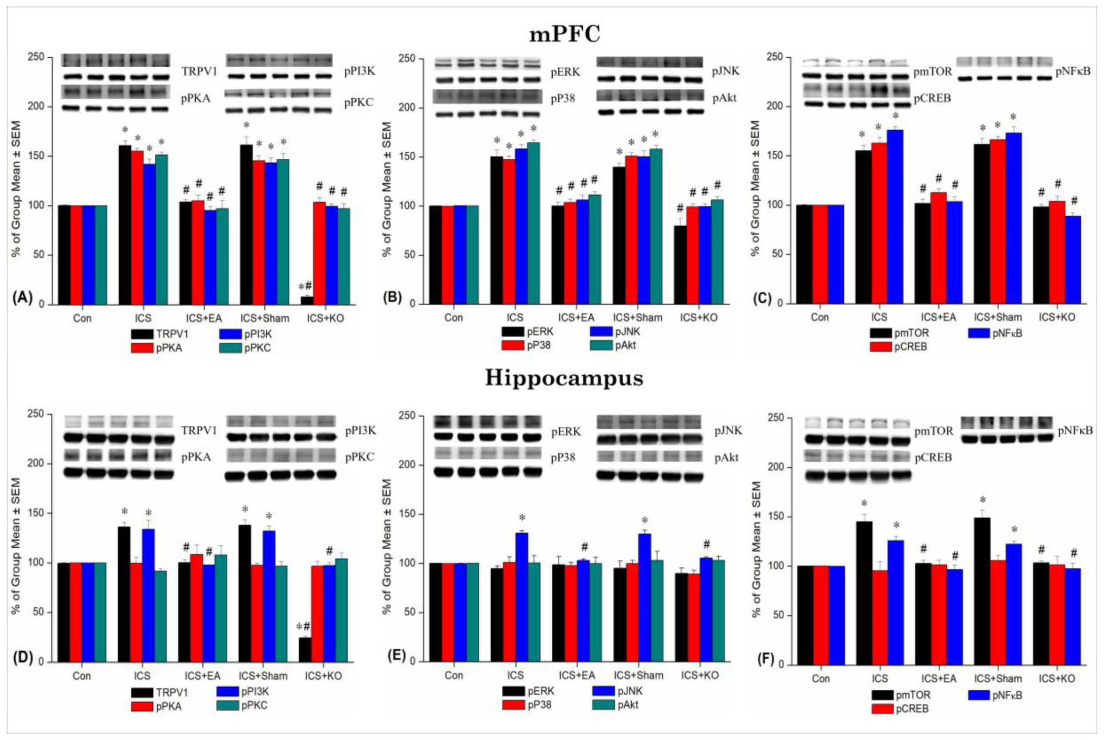 Preprints 138489 g005