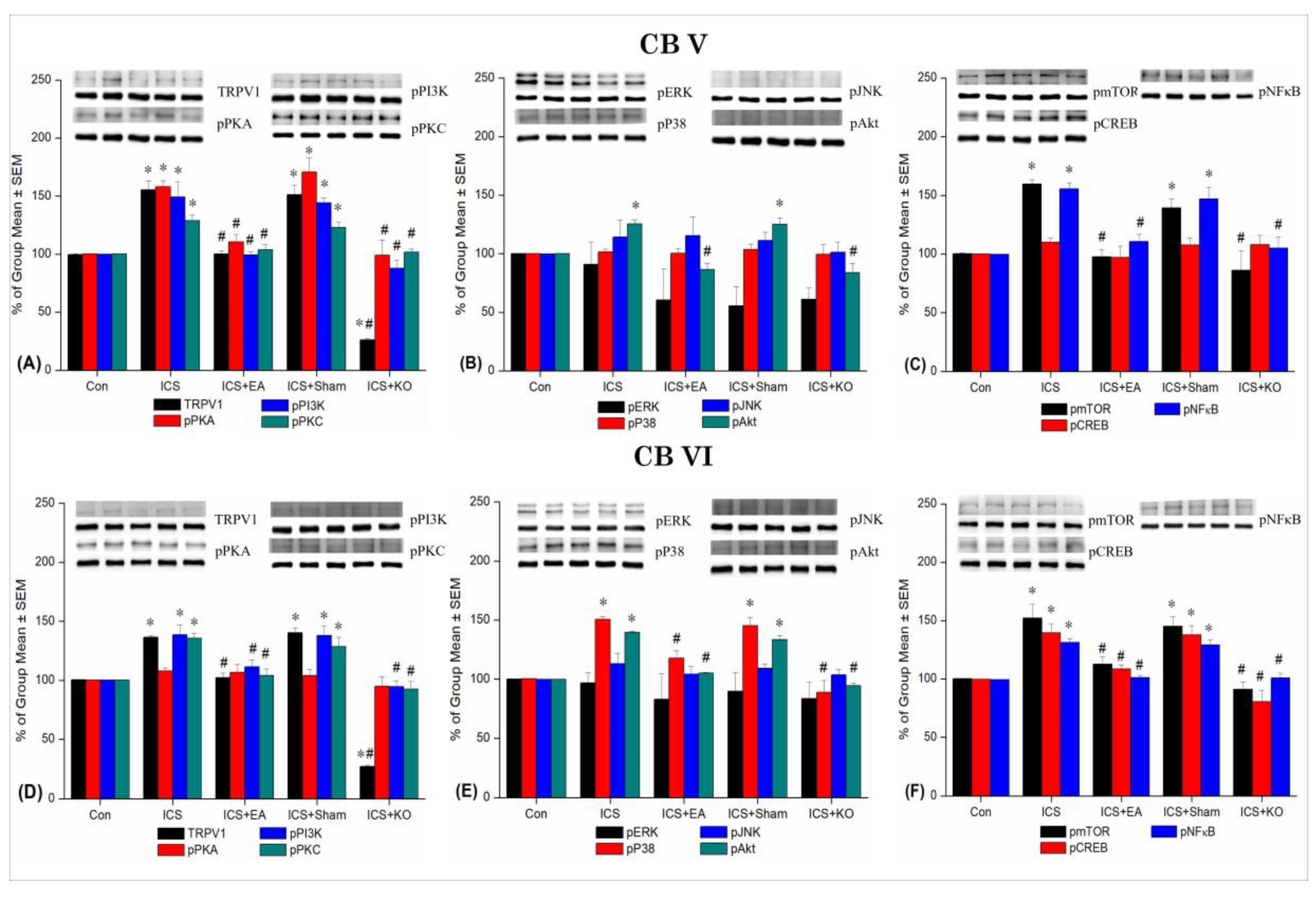 Preprints 138489 g006