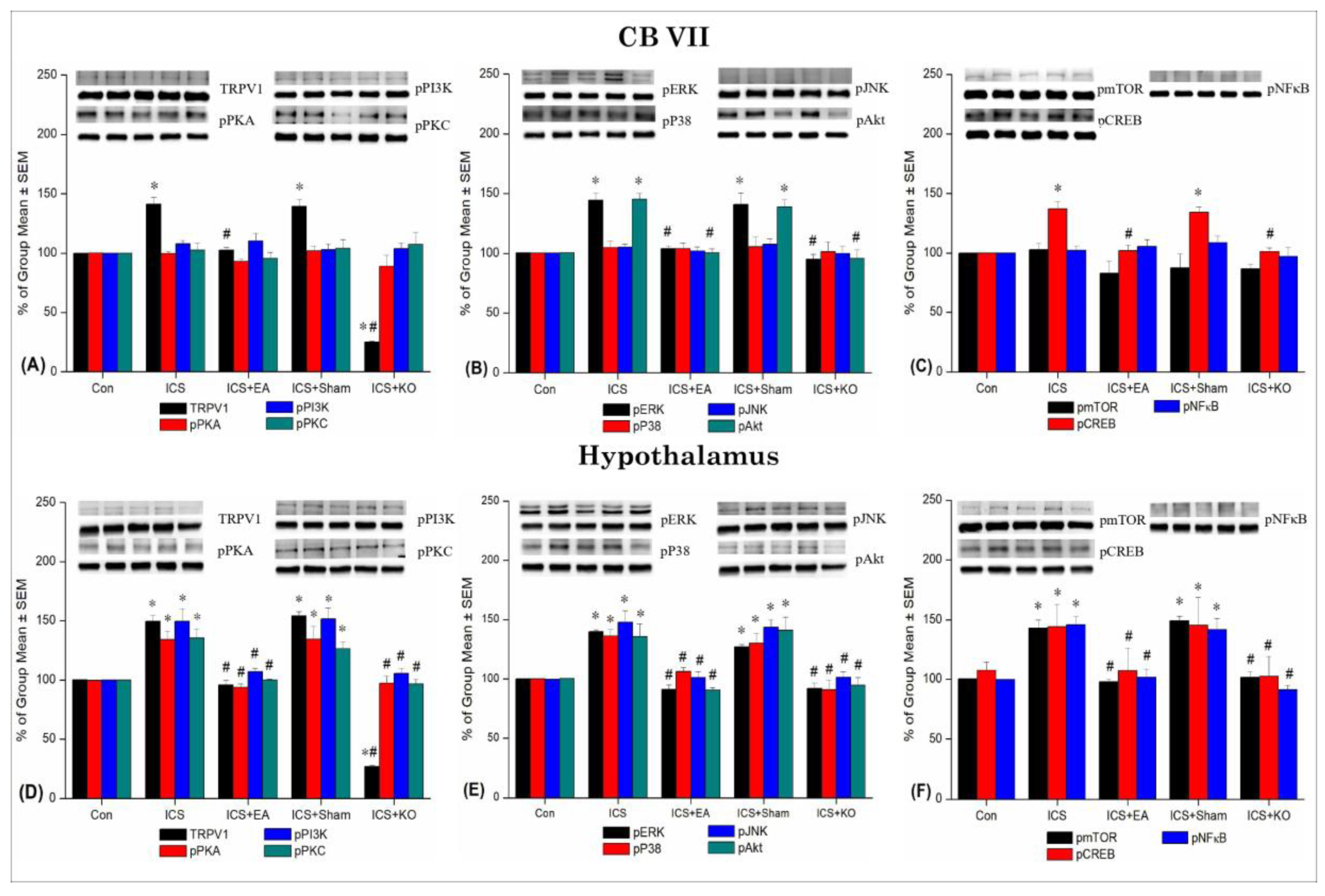 Preprints 138489 g007