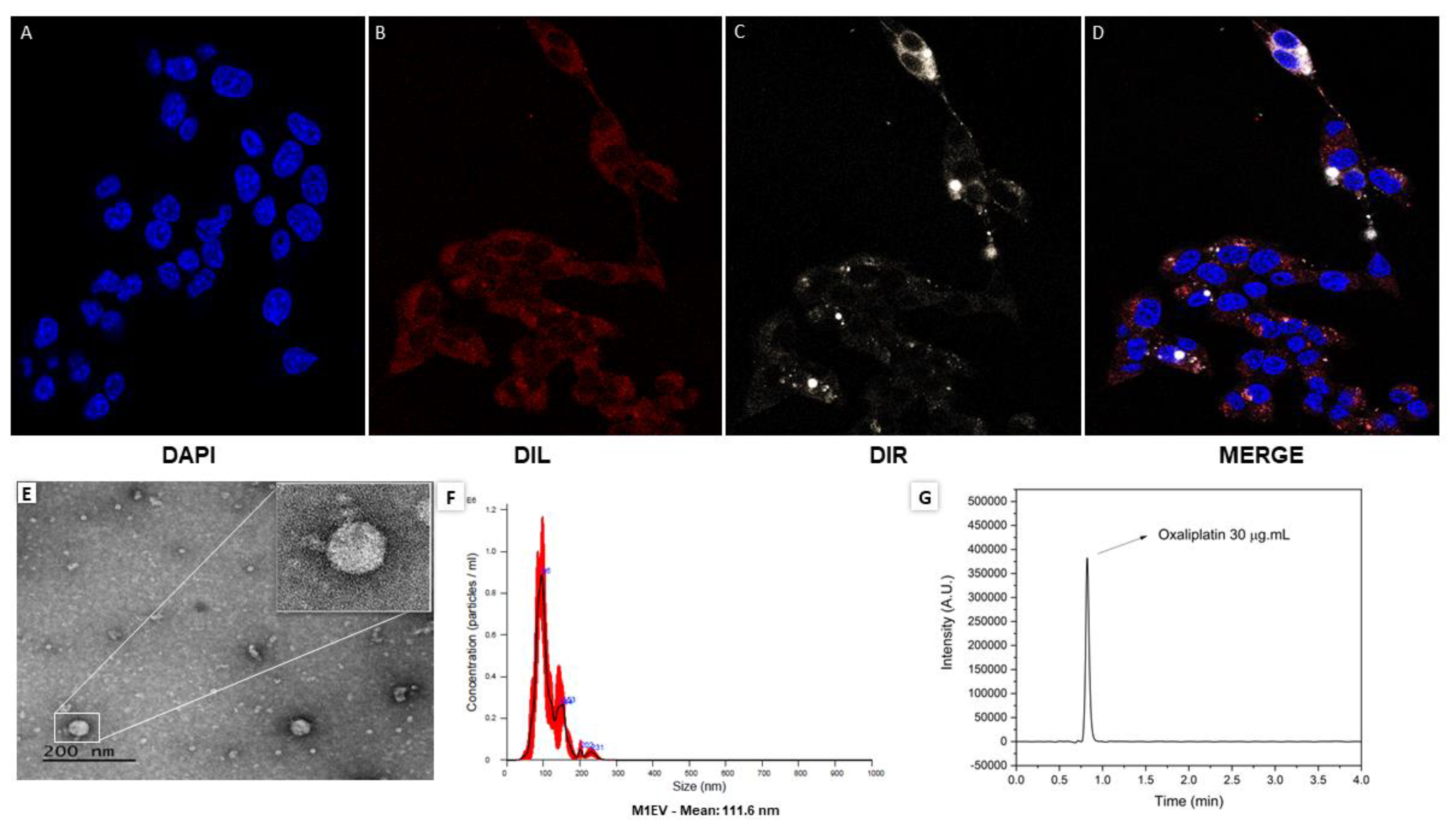 Preprints 74571 g001