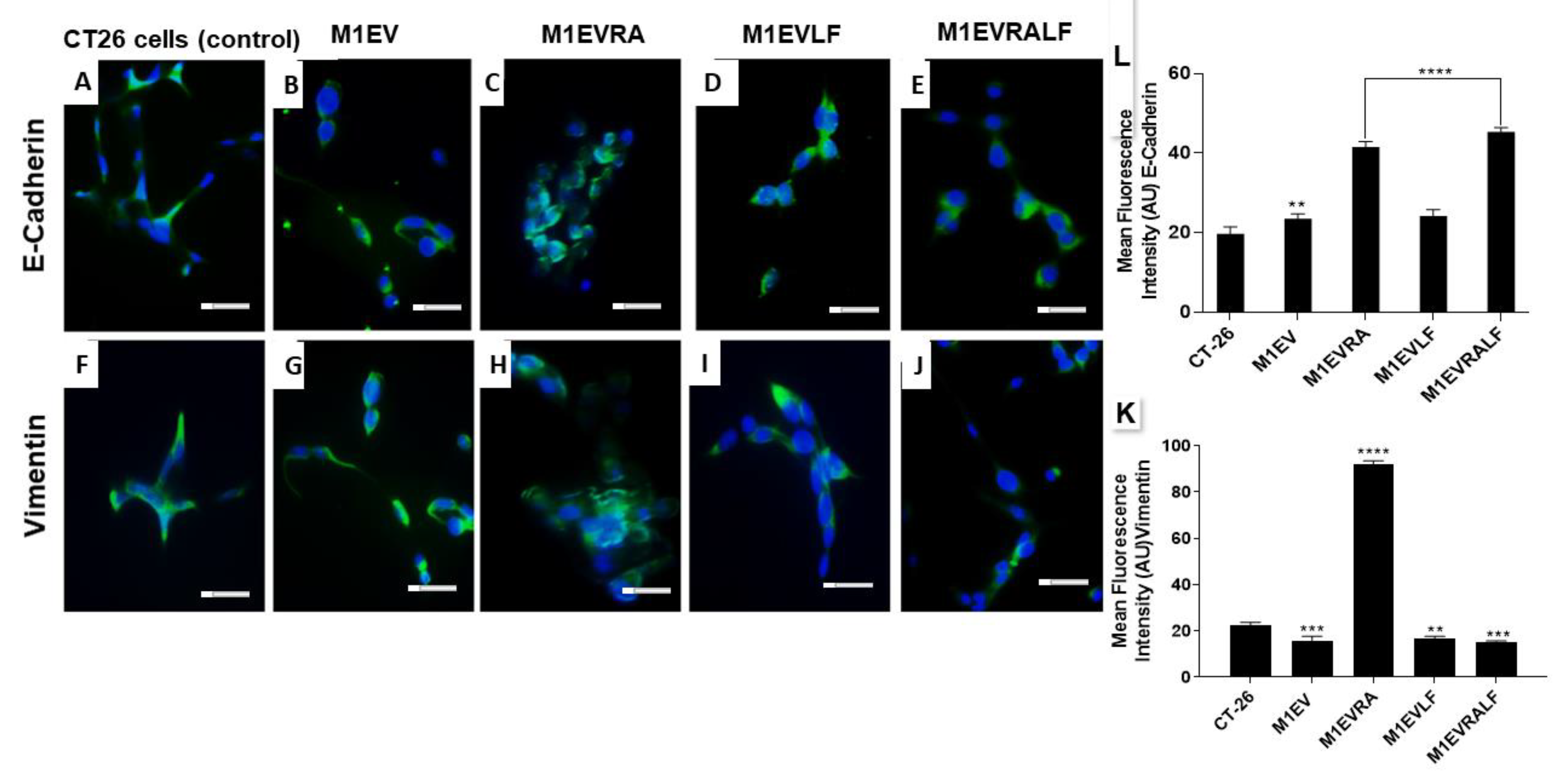 Preprints 74571 g003