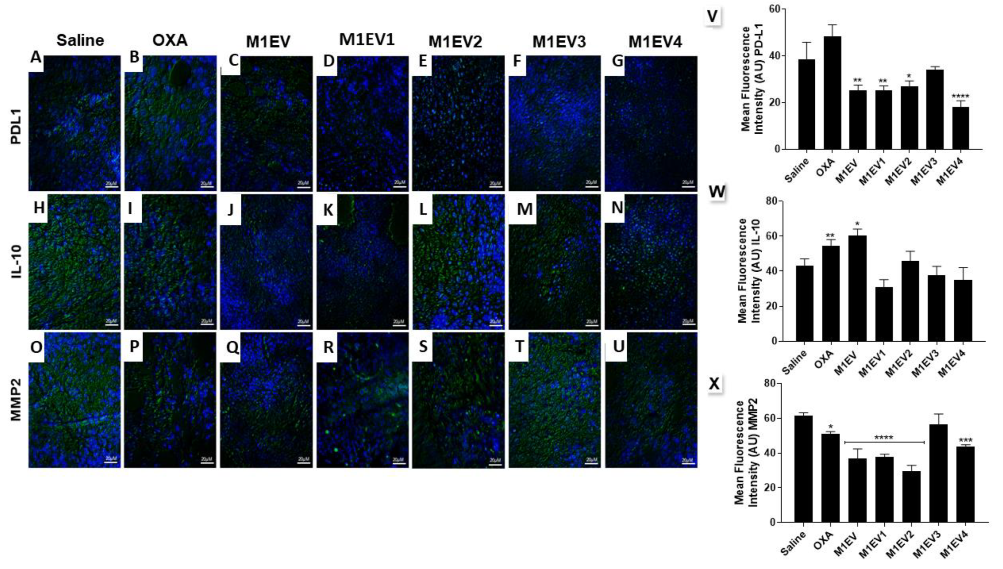 Preprints 74571 g006