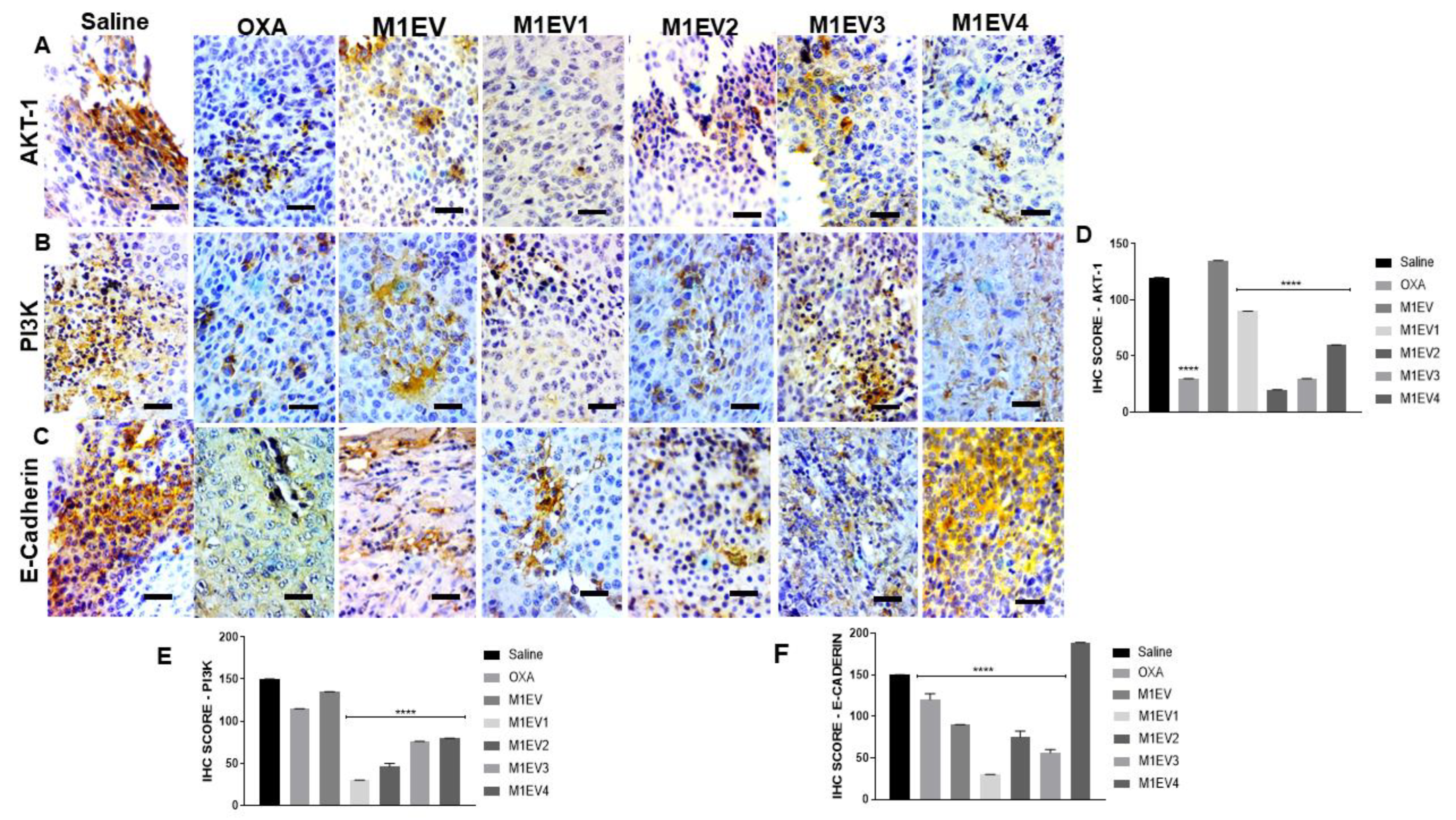 Preprints 74571 g007