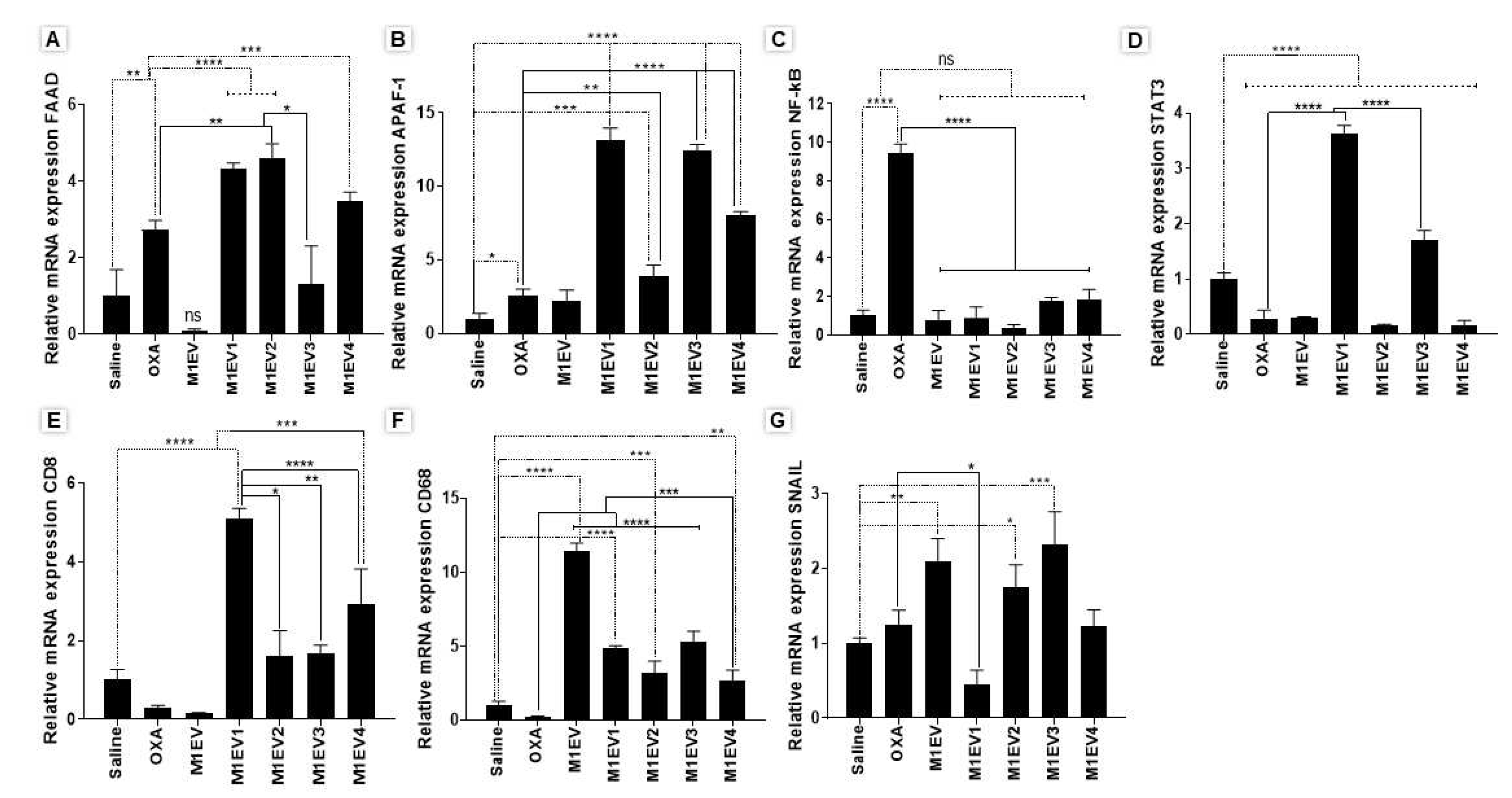 Preprints 74571 g008