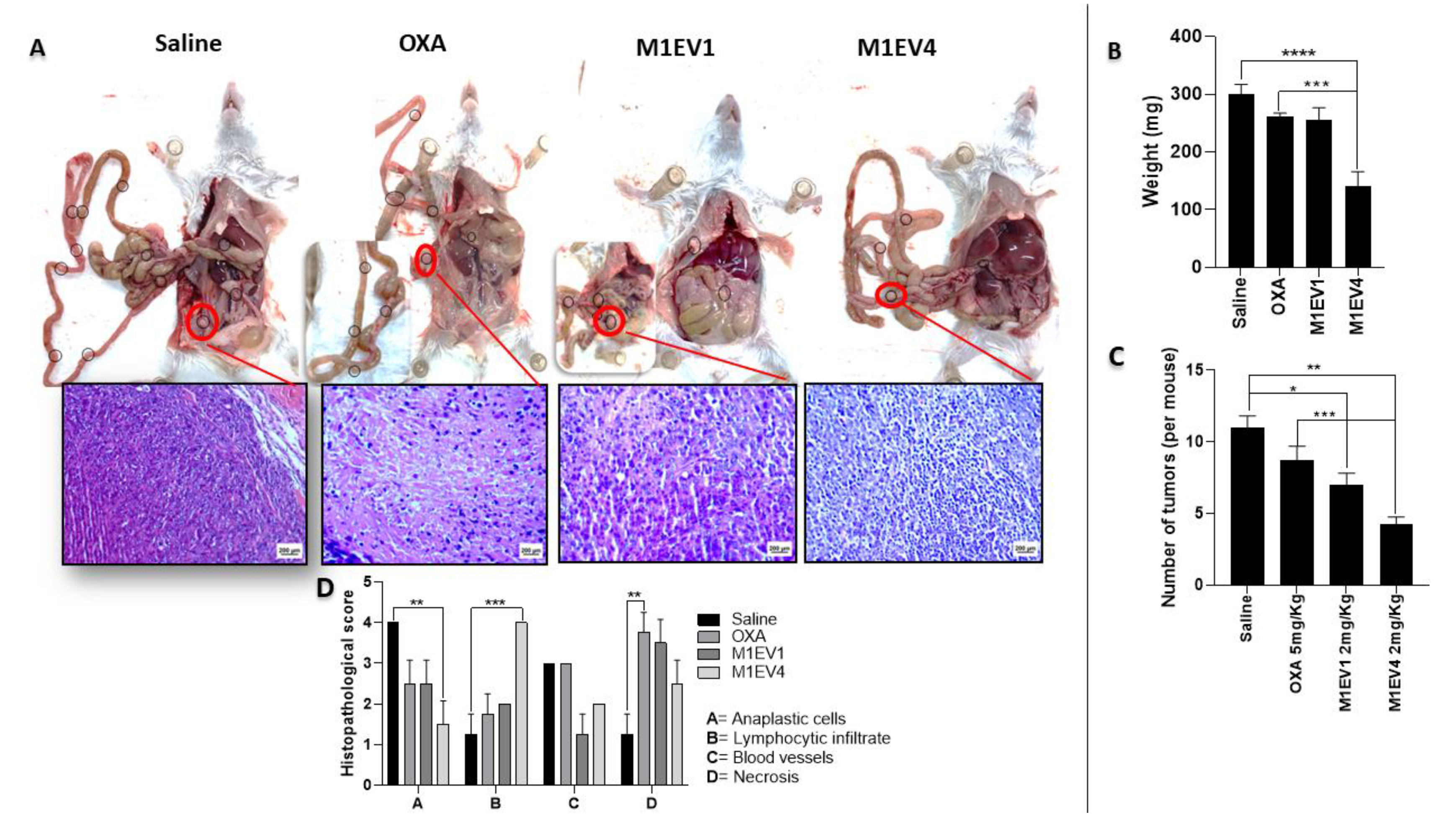 Preprints 74571 g009