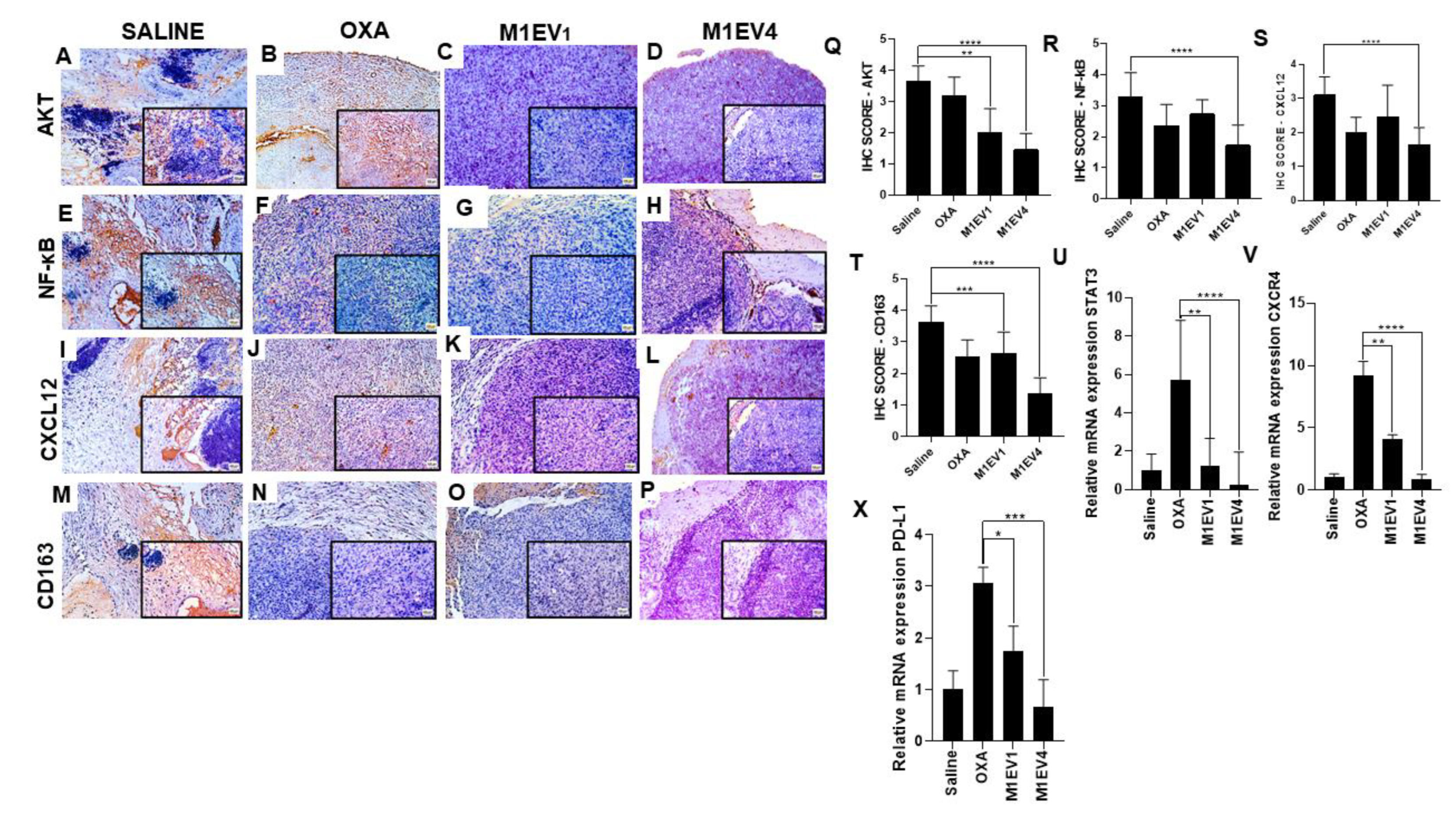 Preprints 74571 g010