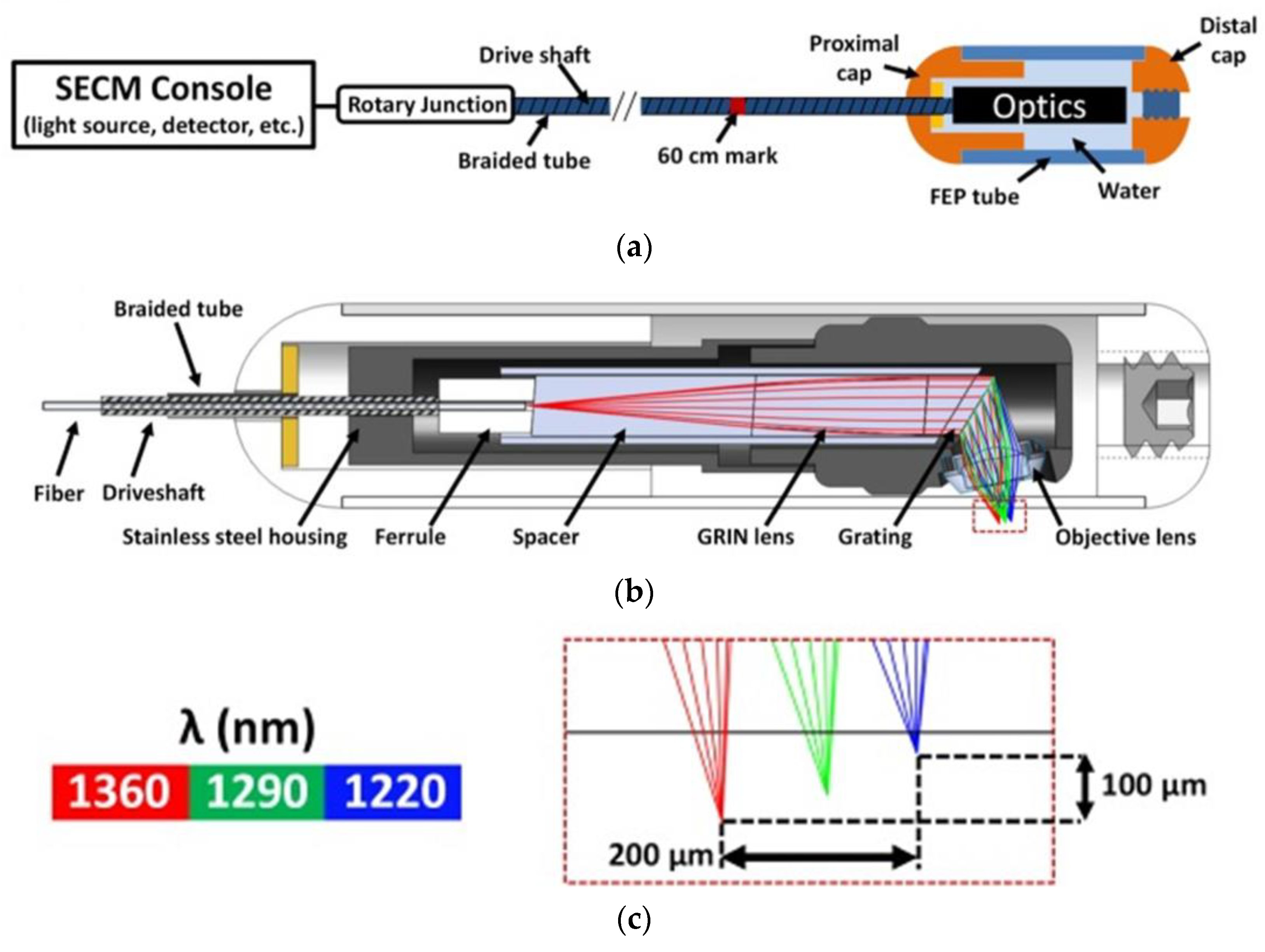 Preprints 86867 g007