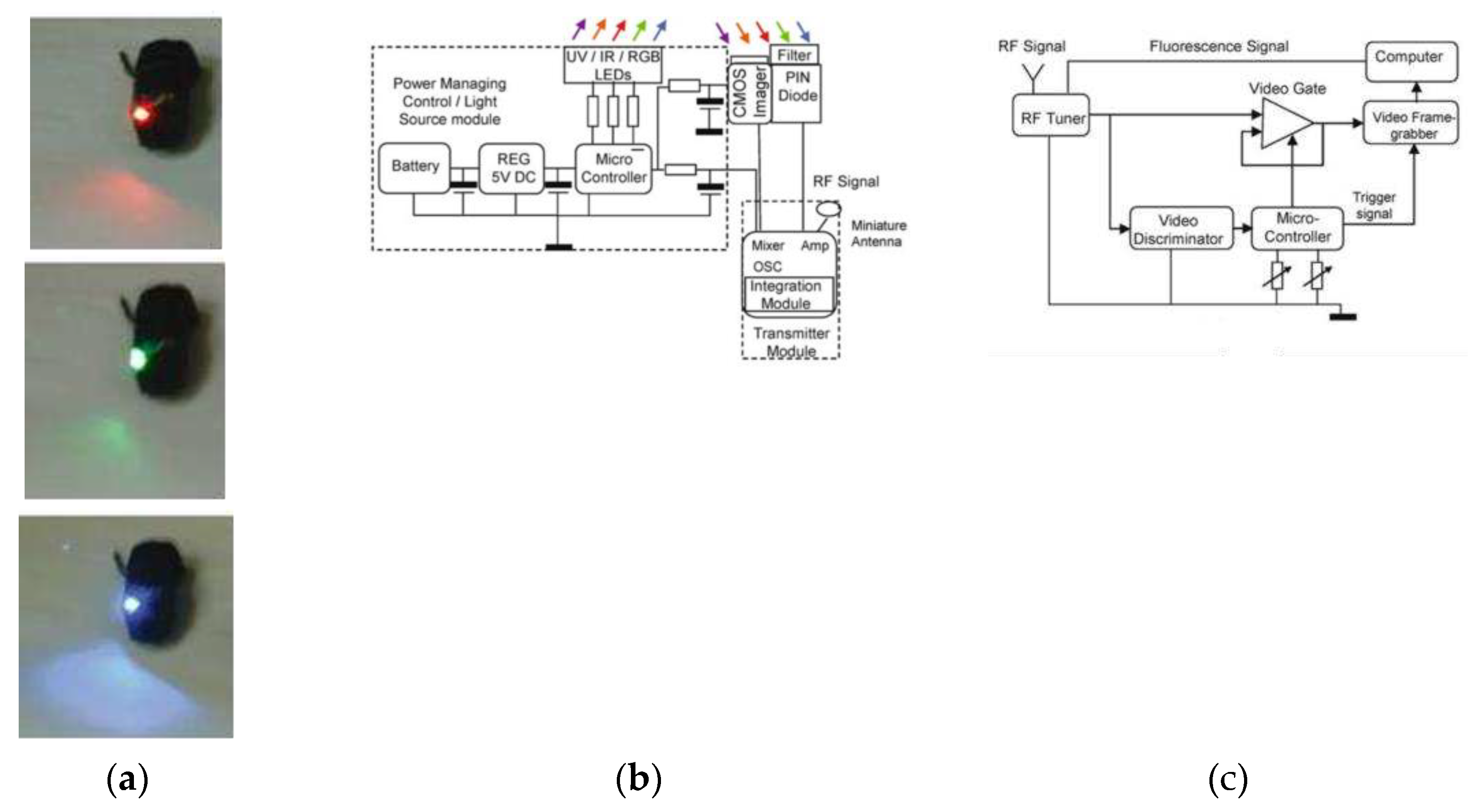 Preprints 86867 g011