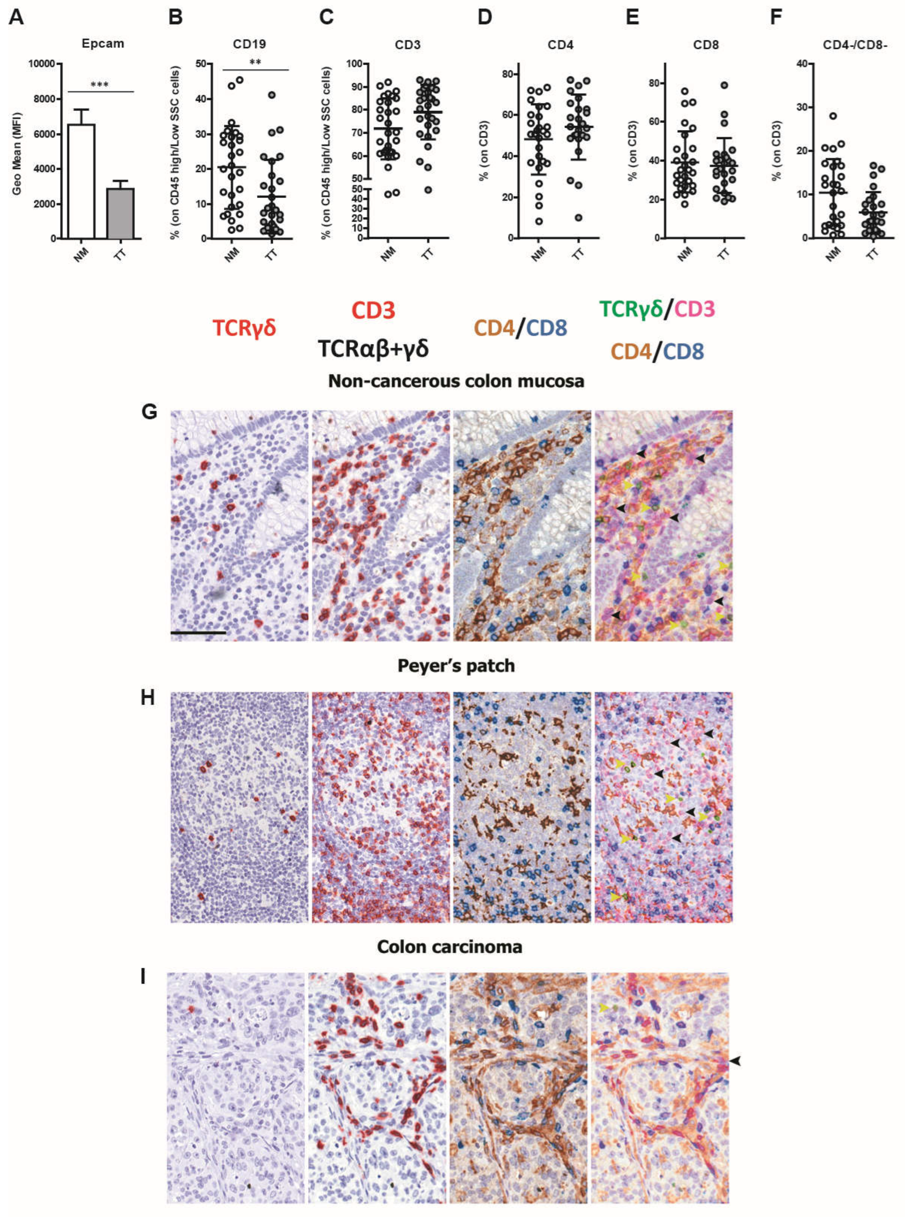 Preprints 72918 g001