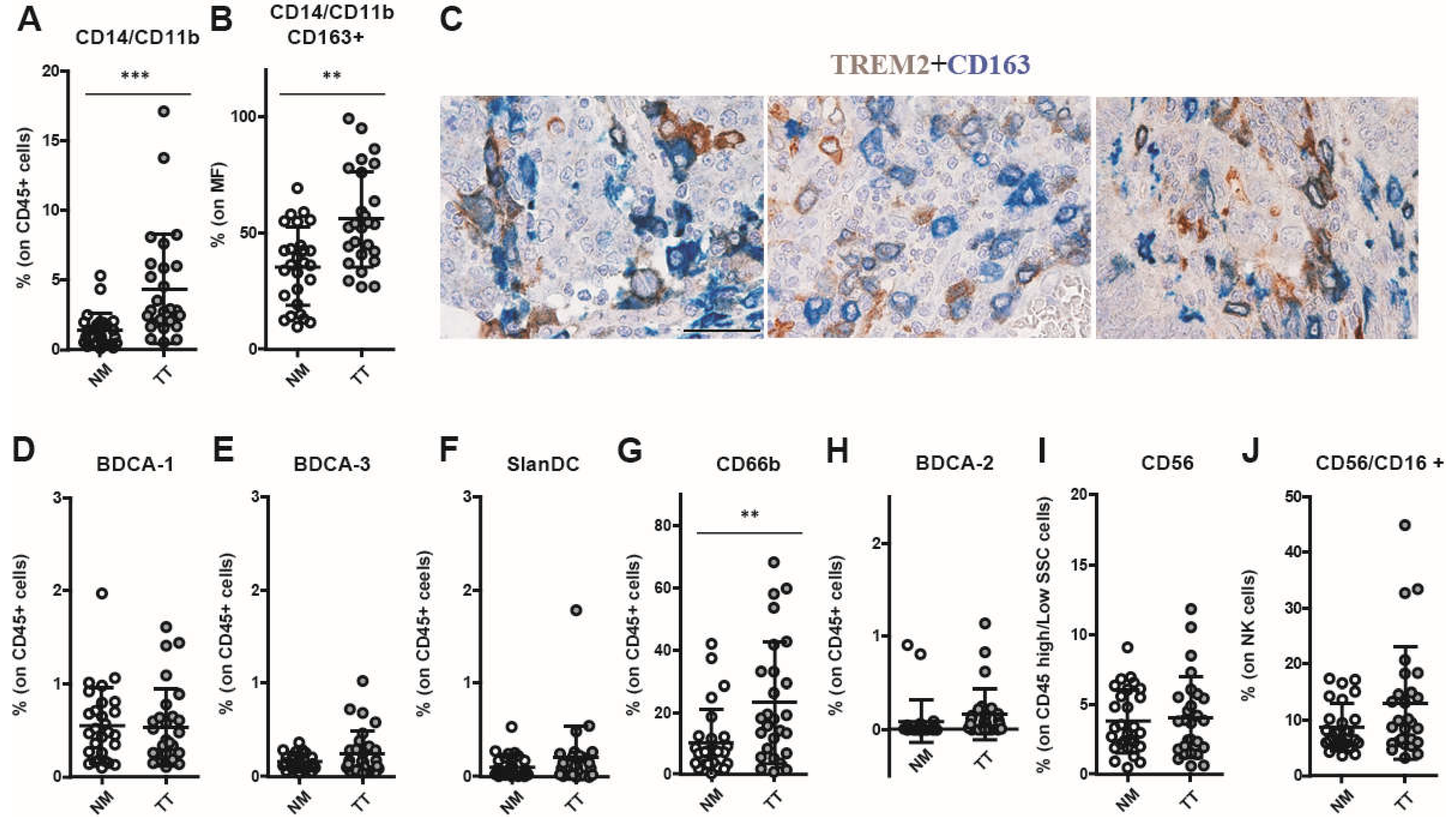 Preprints 72918 g002