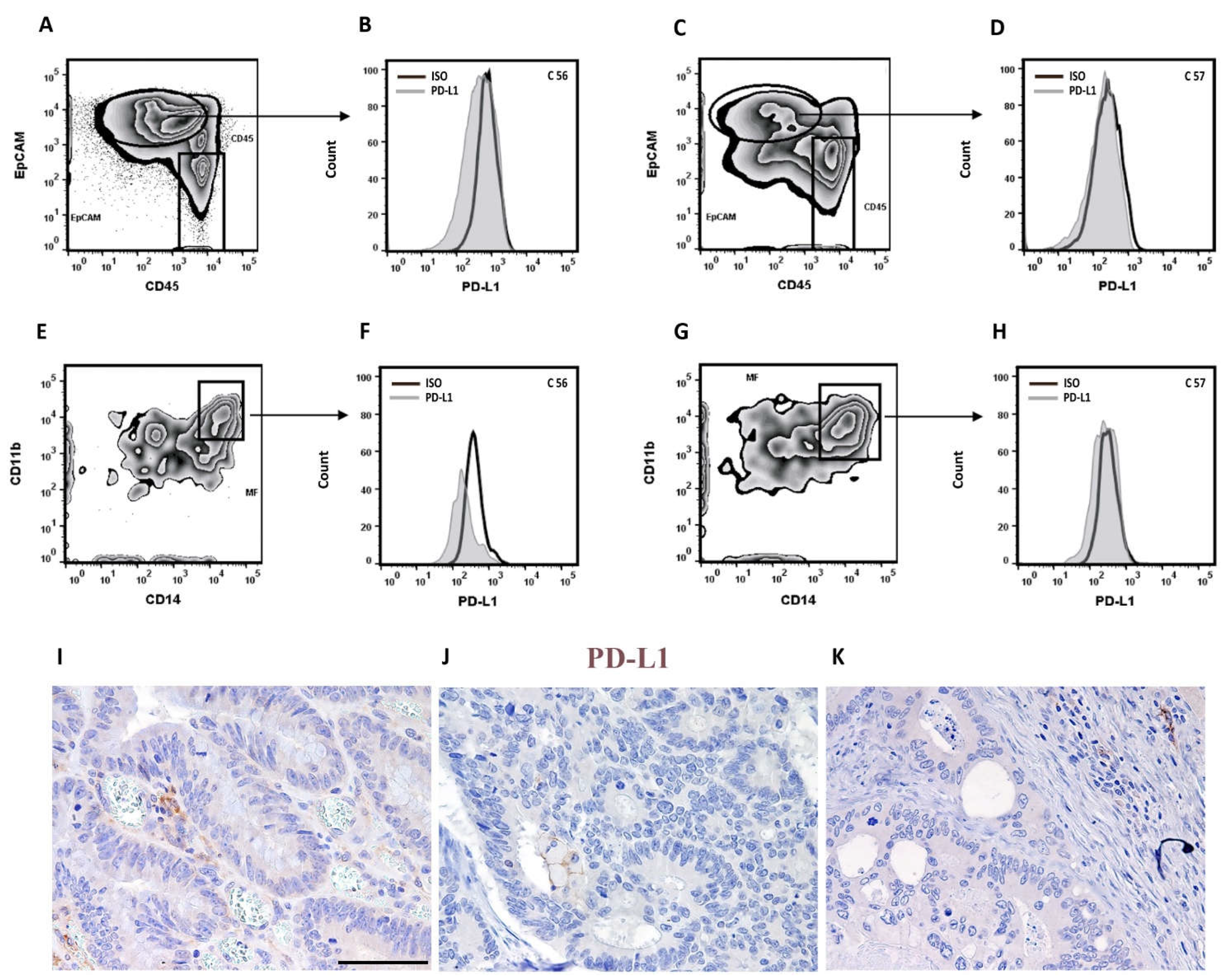 Preprints 72918 g005